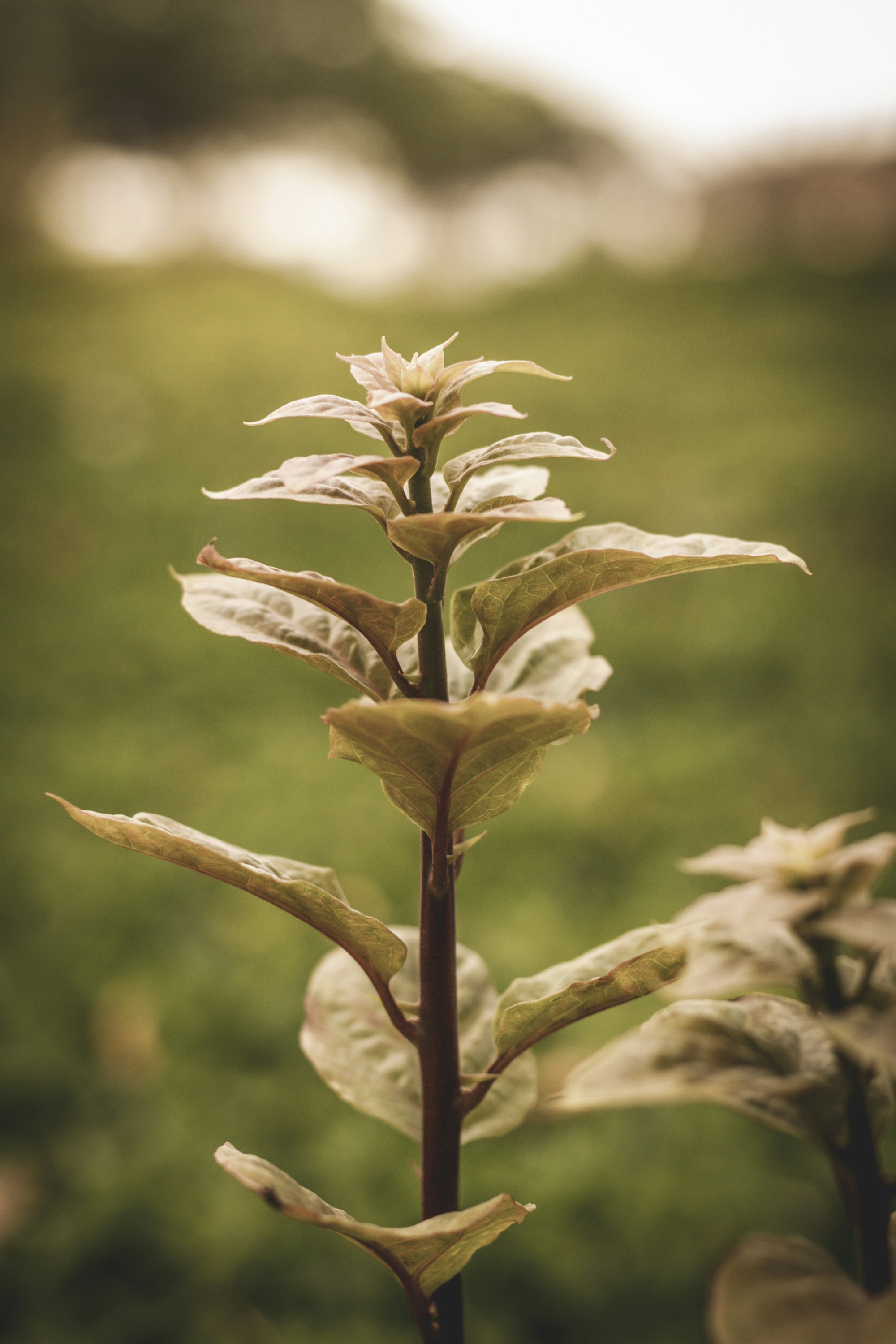 Photo by hugoalvesoliveira