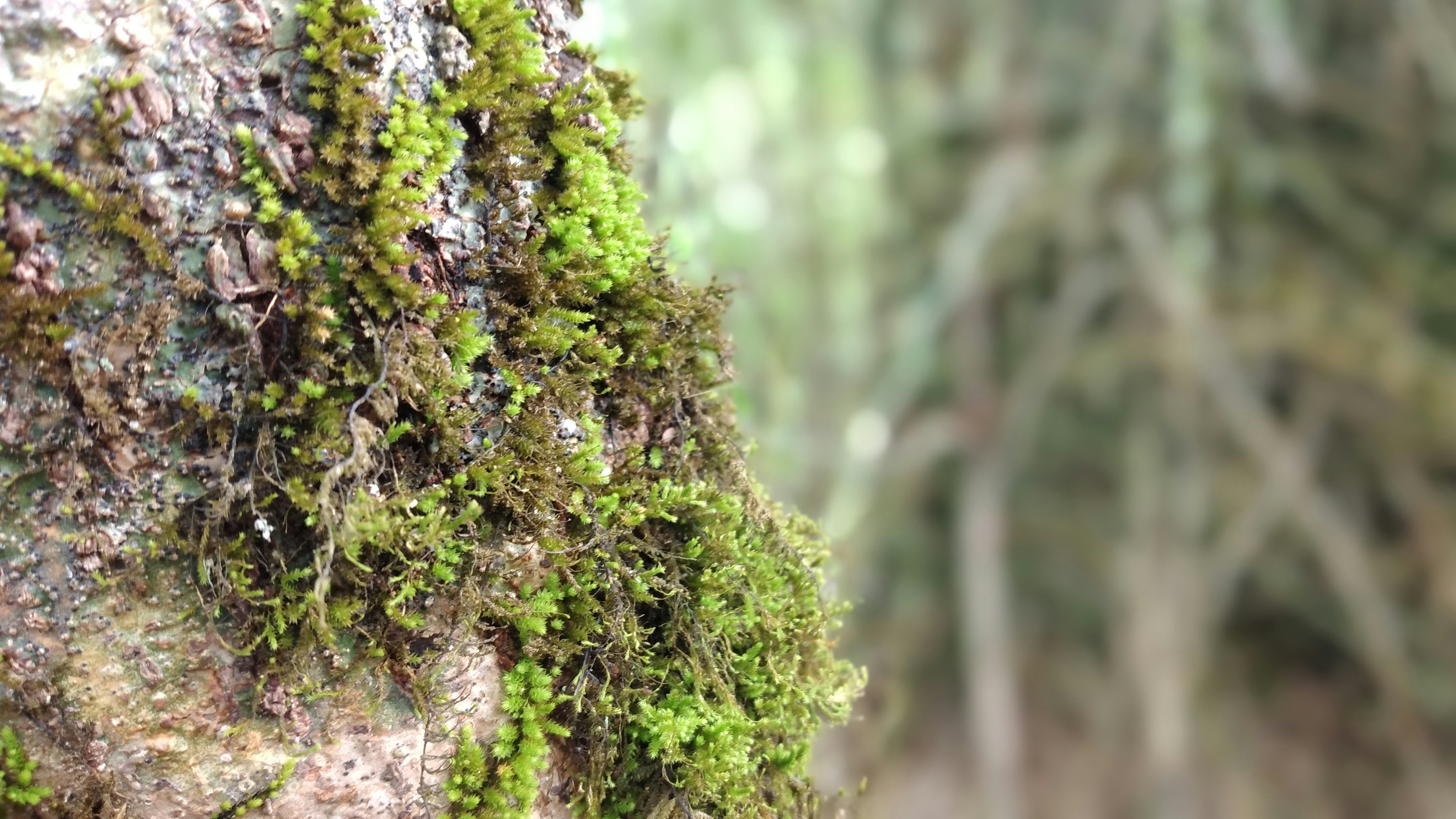 Photo by daniel_olaverria