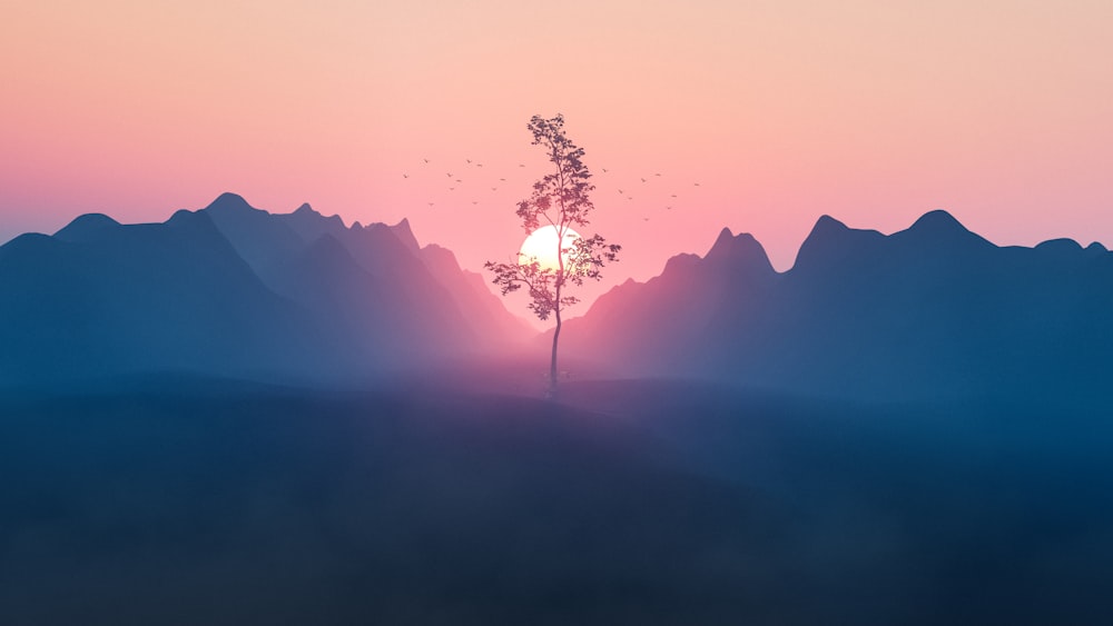 a tree in the middle of a mountain range
