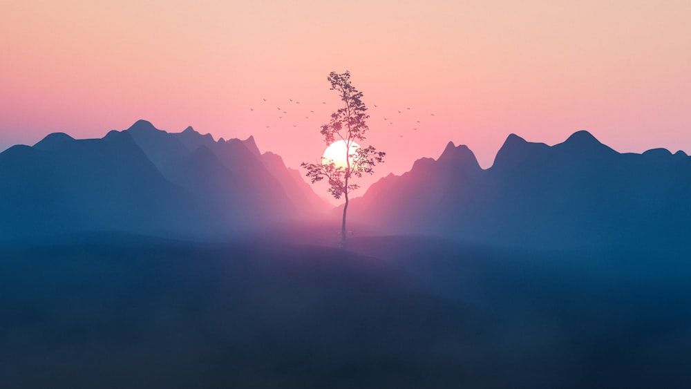 Un arbre au milieu d’une chaîne de montagnes