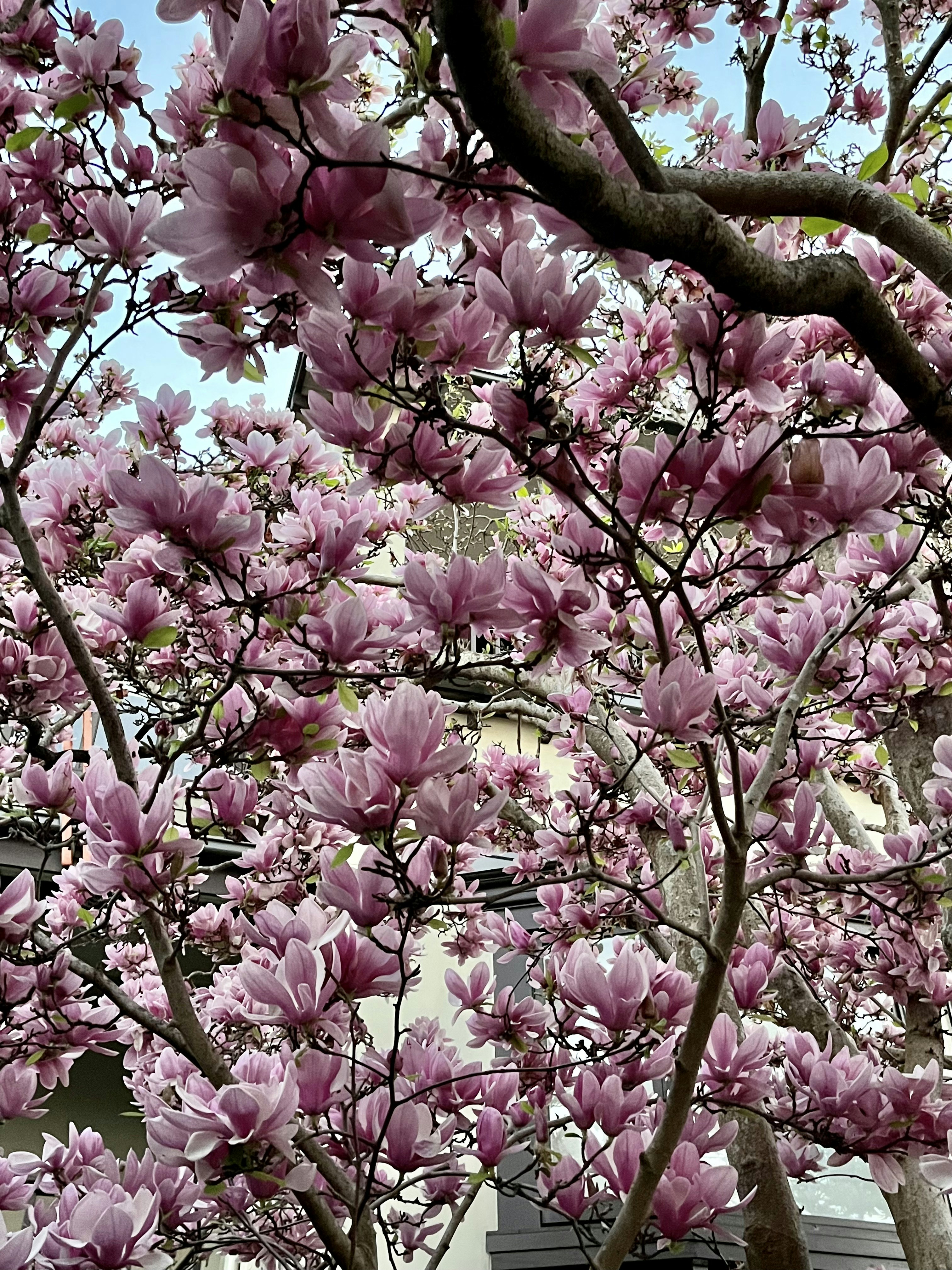 Photo by smacattack5