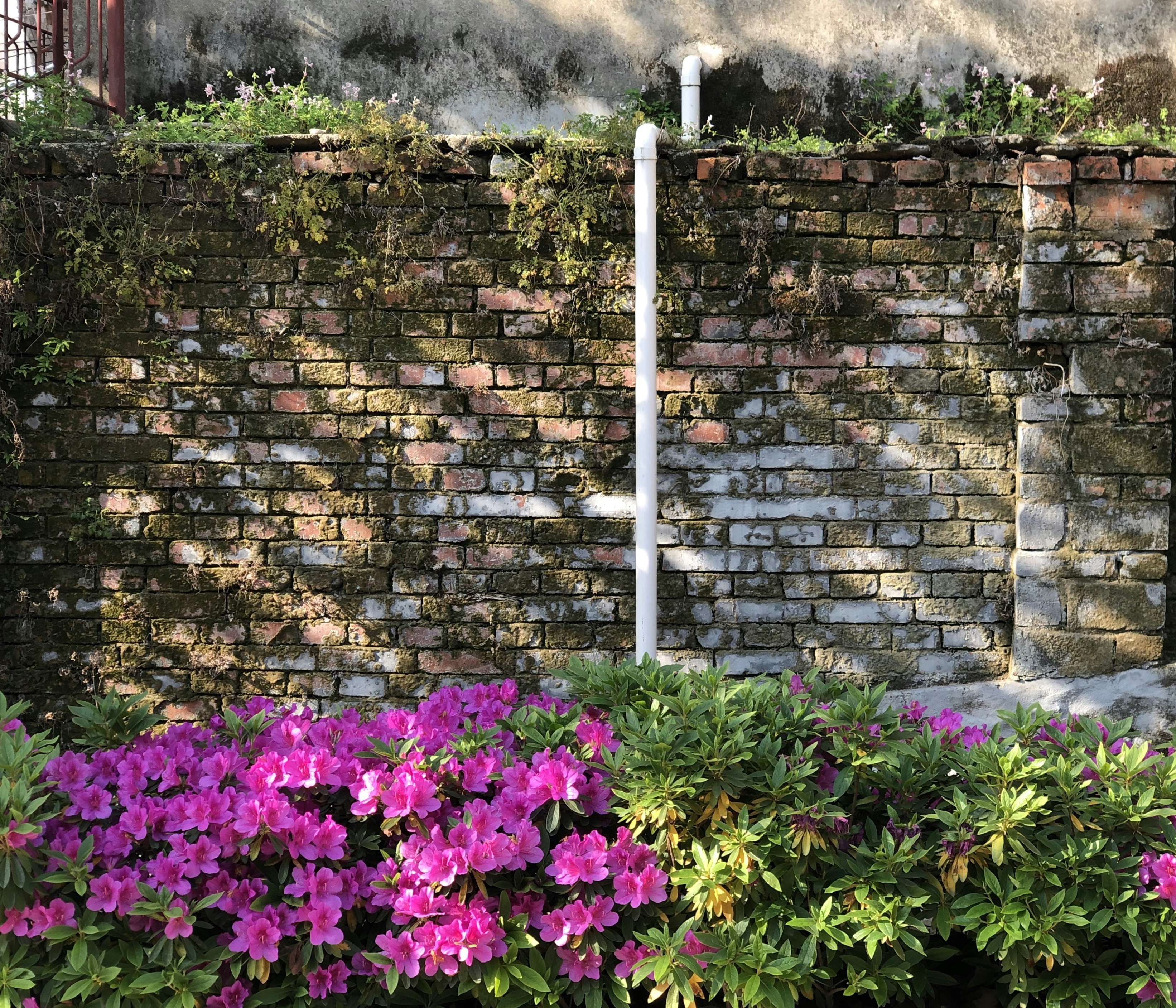 Photo by robertchen13