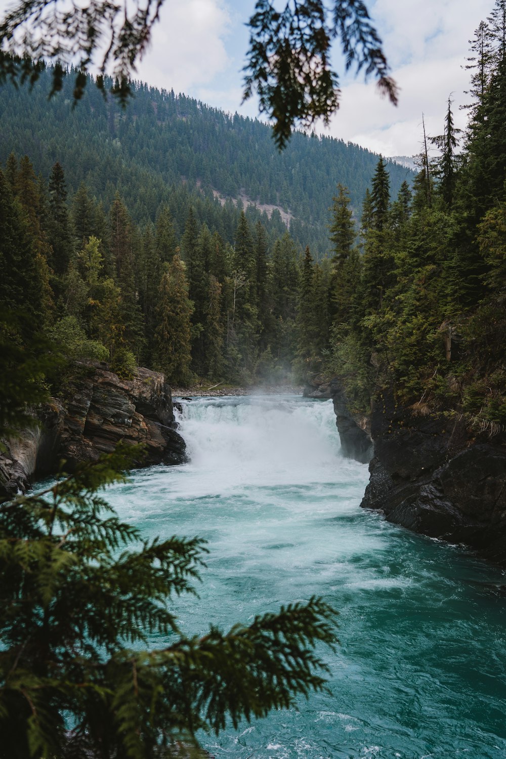 a river flowing through a forest with Bow Falls in the background