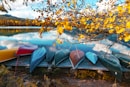 a row of boats on the shore