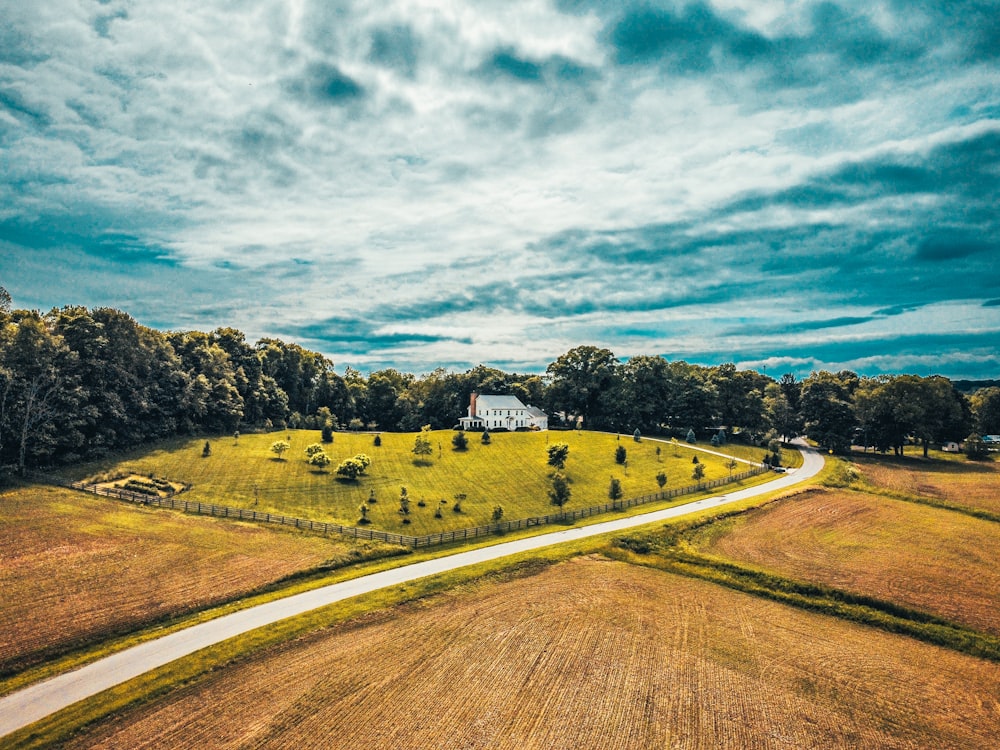 a field of grass and trees