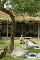 a person sitting under a tree