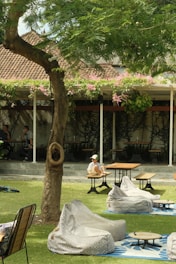 a person sitting under a tree