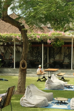 a person sitting under a tree