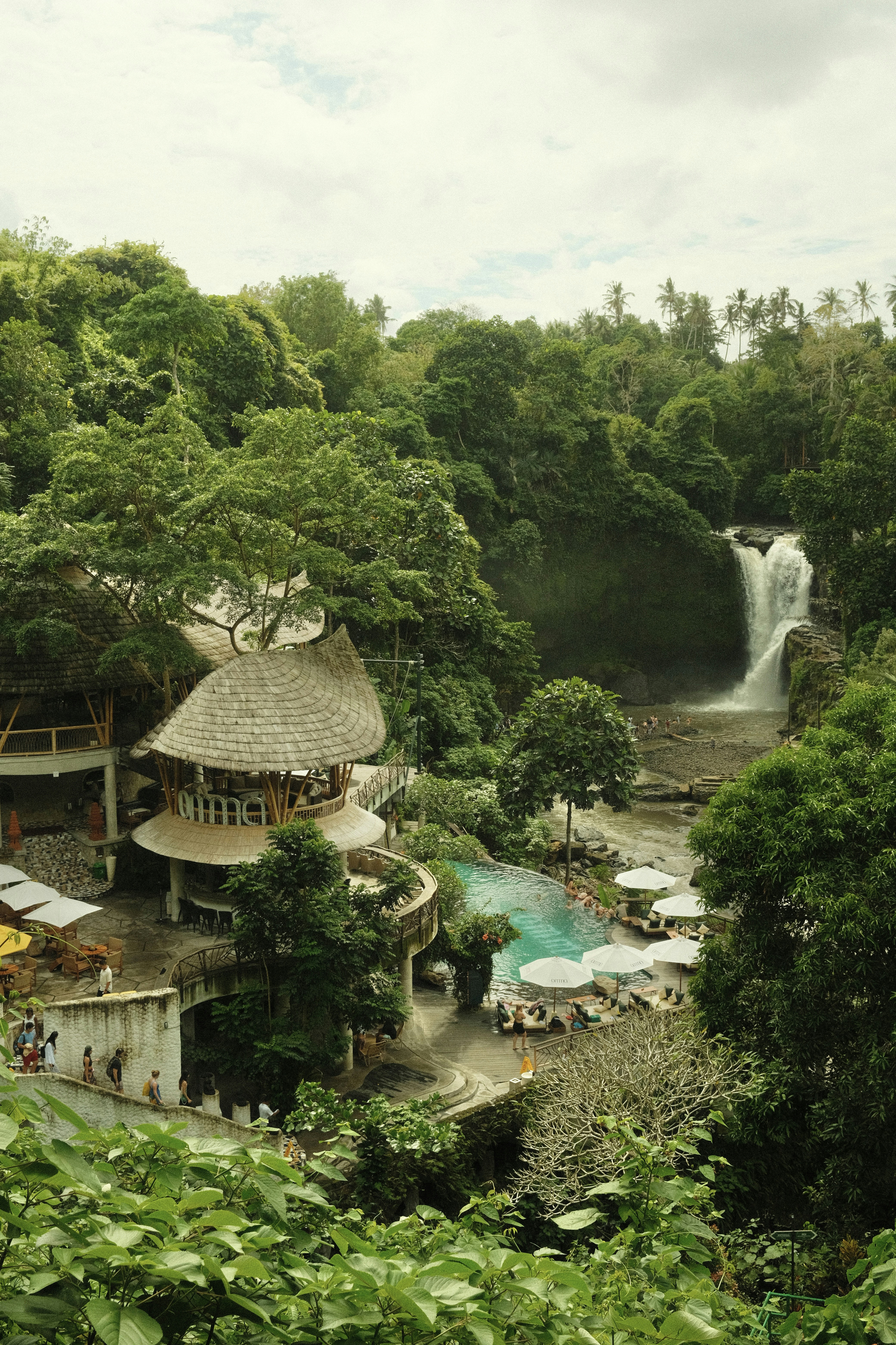 Photo by sophiepengjy