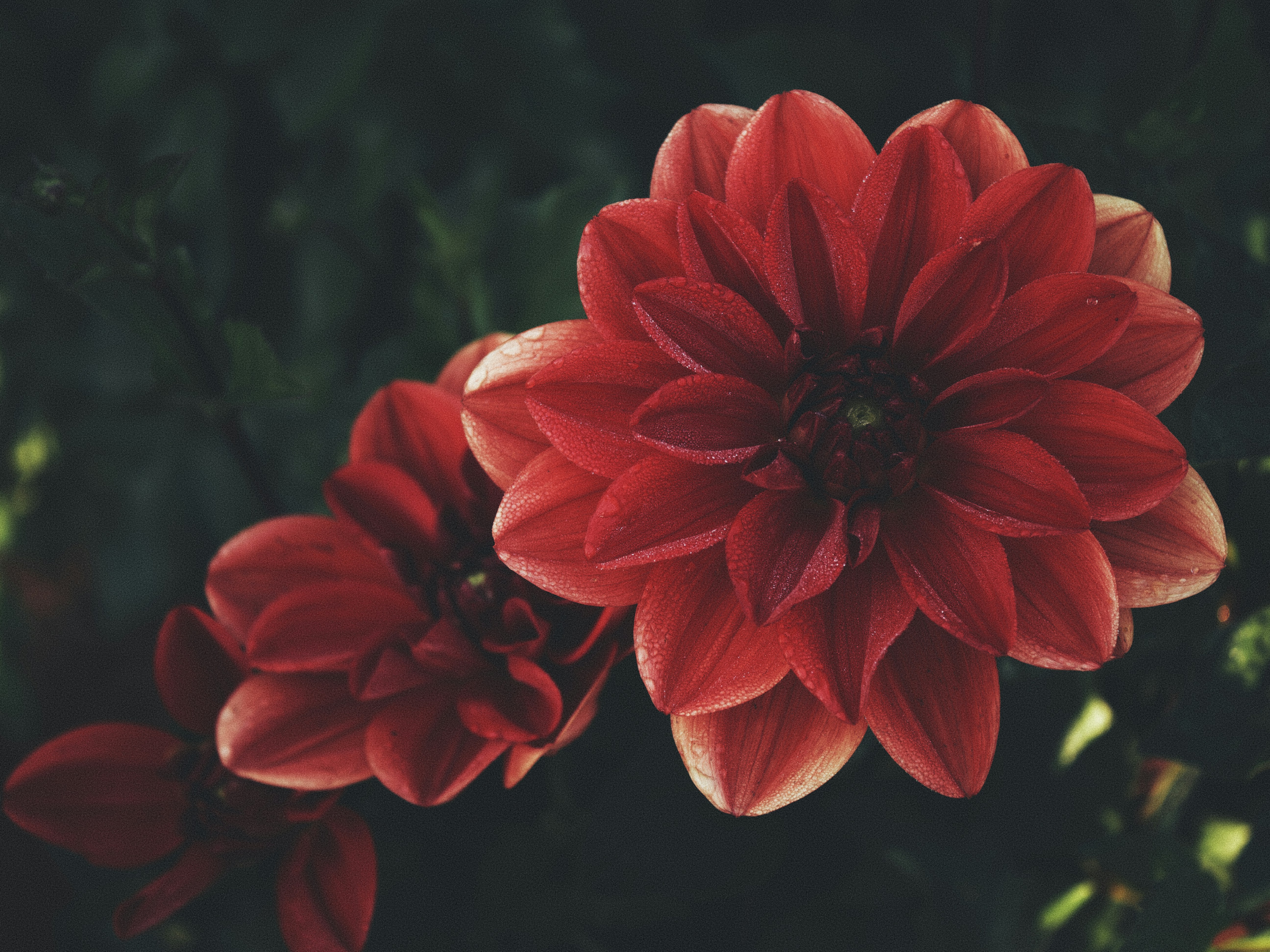 Photo by aaronburden