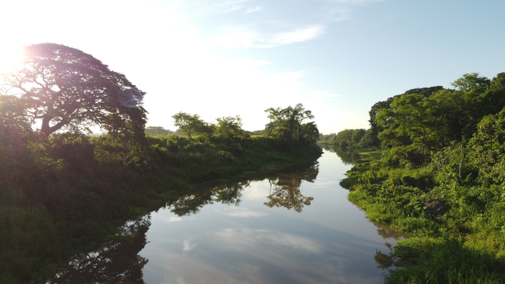 a body of water surrounded by trees