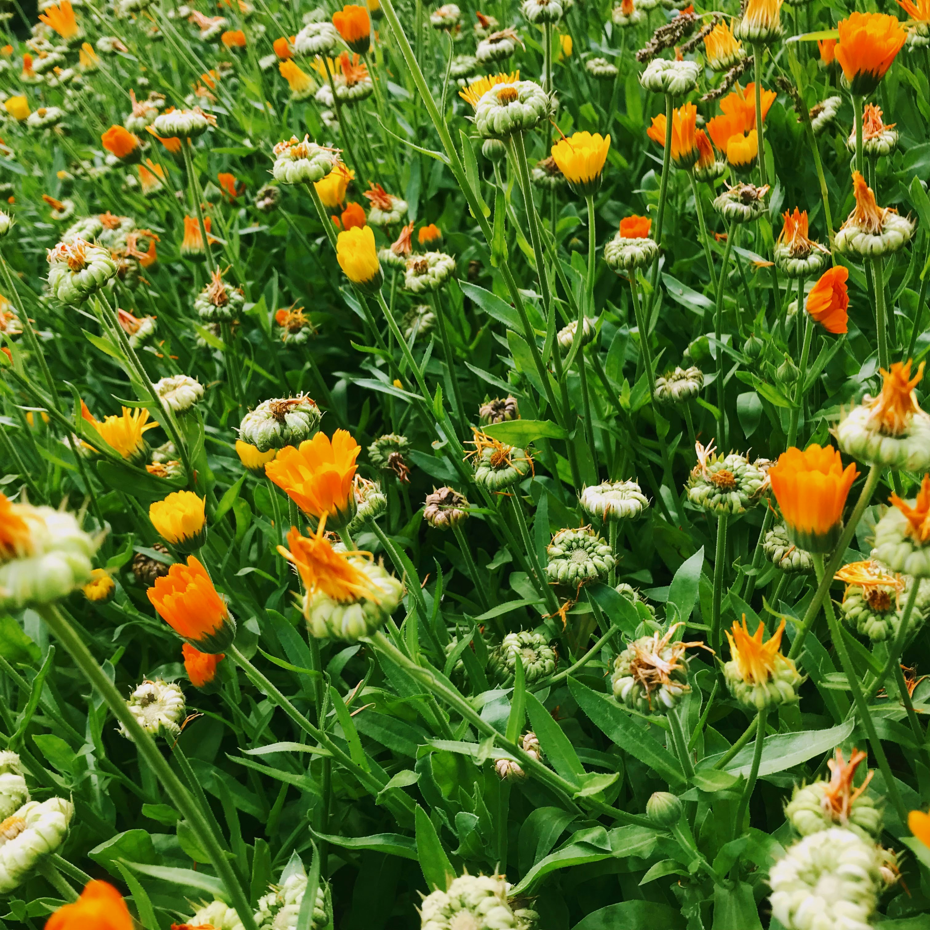 Photo by between_friends