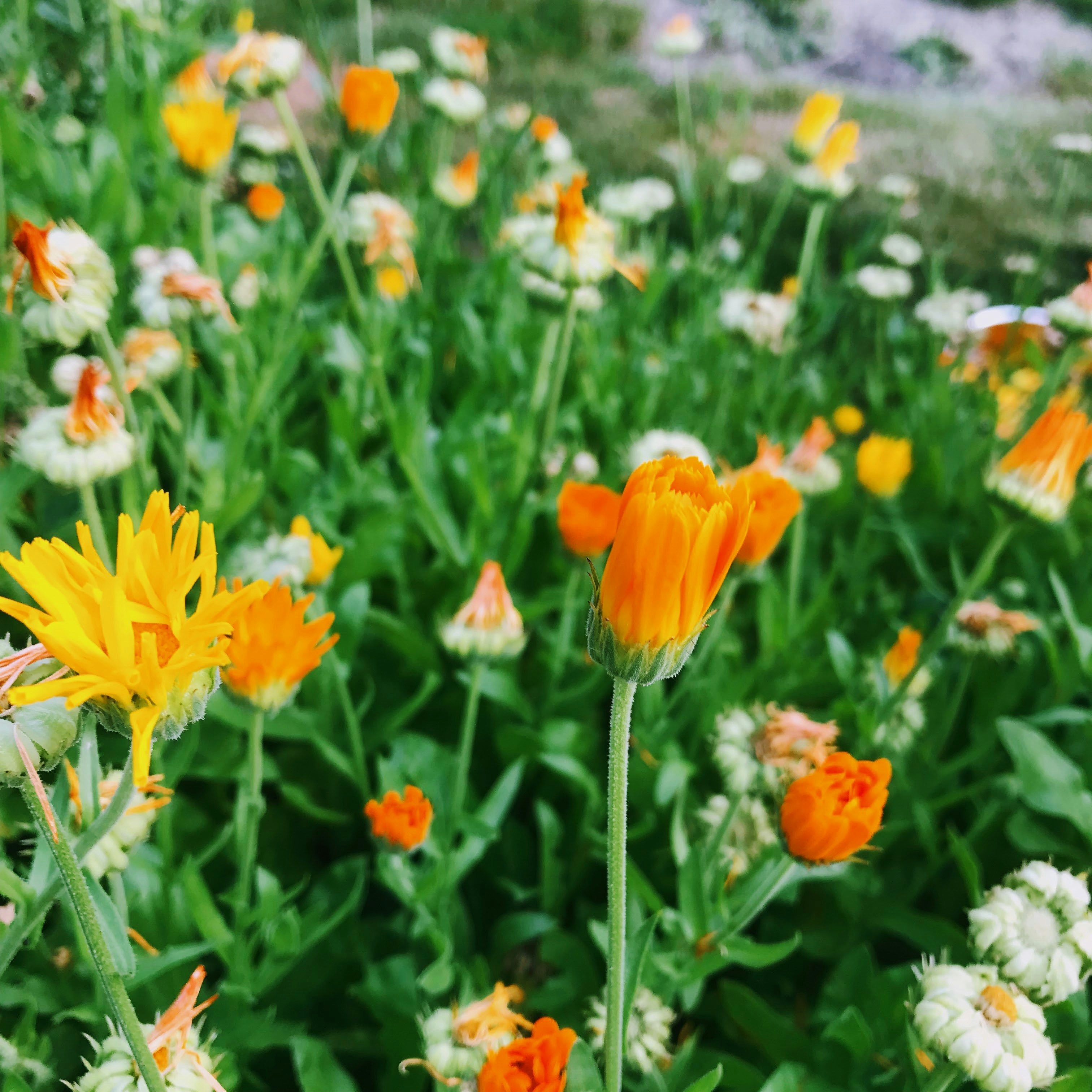 Photo by between_friends