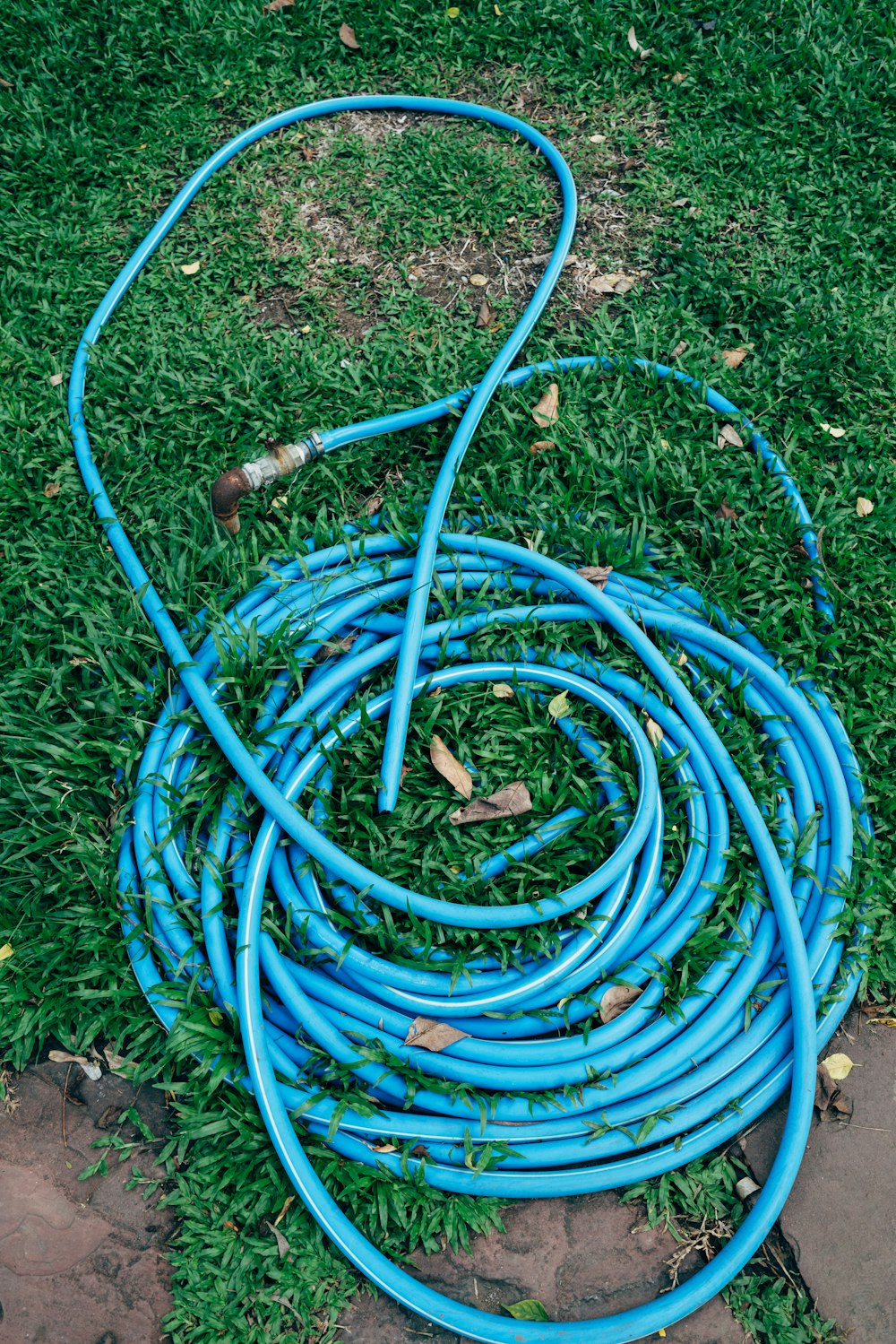 a blue plastic basket with a few hoses in it