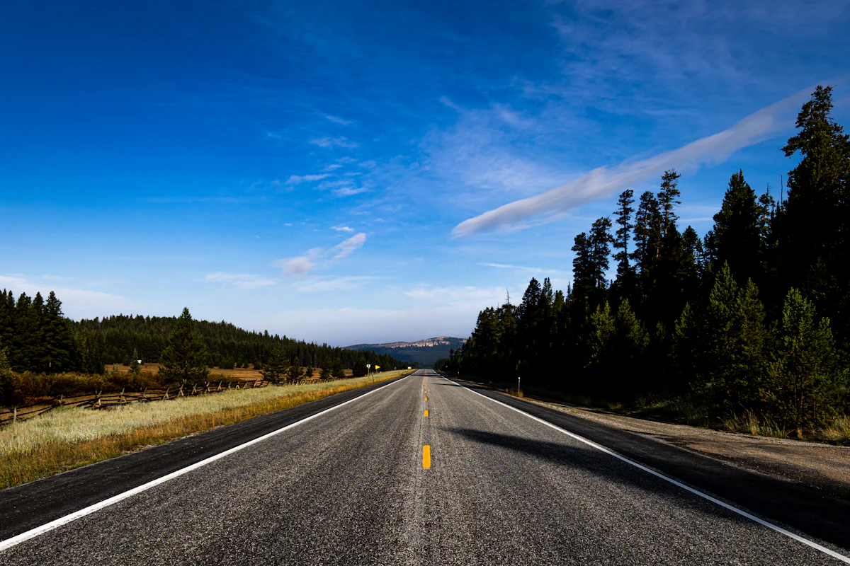 A two-lane highway running straight through pine forest in the Bighorn National Forest