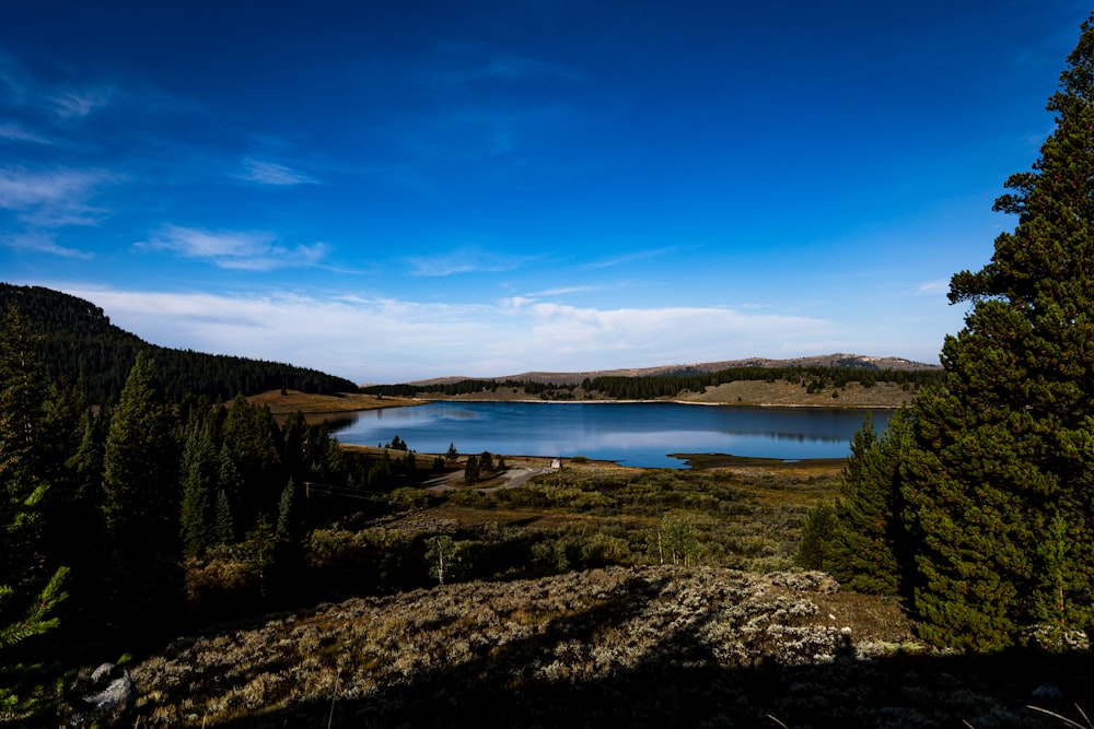 a lake surrounded by trees