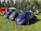 Several vintage cars, including Volkswagen Beetles, are parked on a grassy field surrounded by trees. In the background, there is a red fire truck, an orange and white Volkswagen camper van, and a canopy tent.