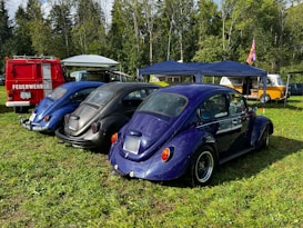 Several vintage cars, including Volkswagen Beetles, are parked on a grassy field surrounded by trees. In the background, there is a red fire truck, an orange and white Volkswagen camper van, and a canopy tent.