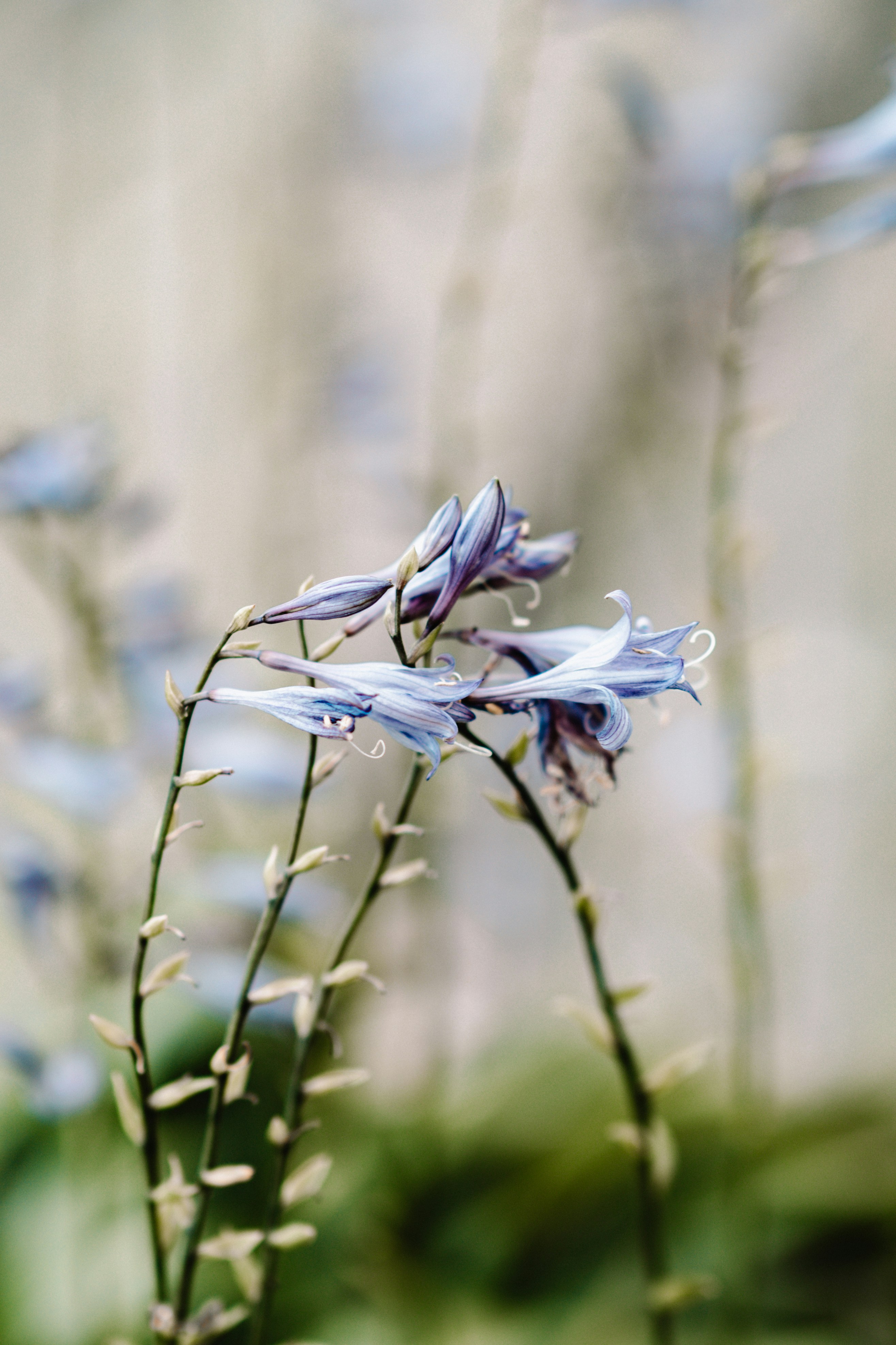 Photo by anamnesis33