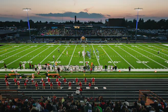 a football field with a crowd watching