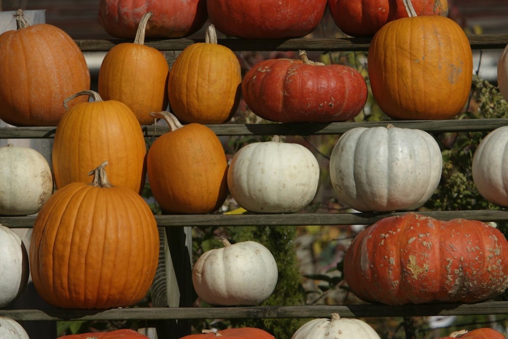 a group of pumpkins on shelves