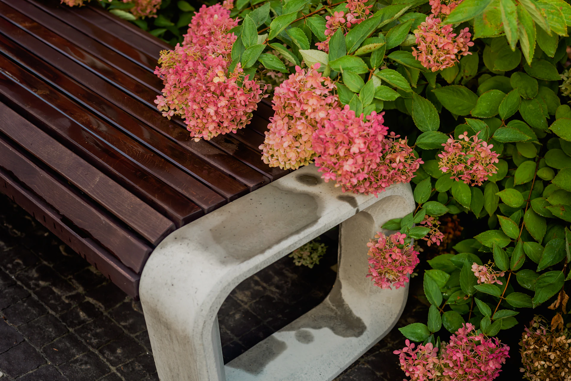 A detailed close-up of a handcrafted wooden bench nestled among vibrant greenery in a residential garden project.