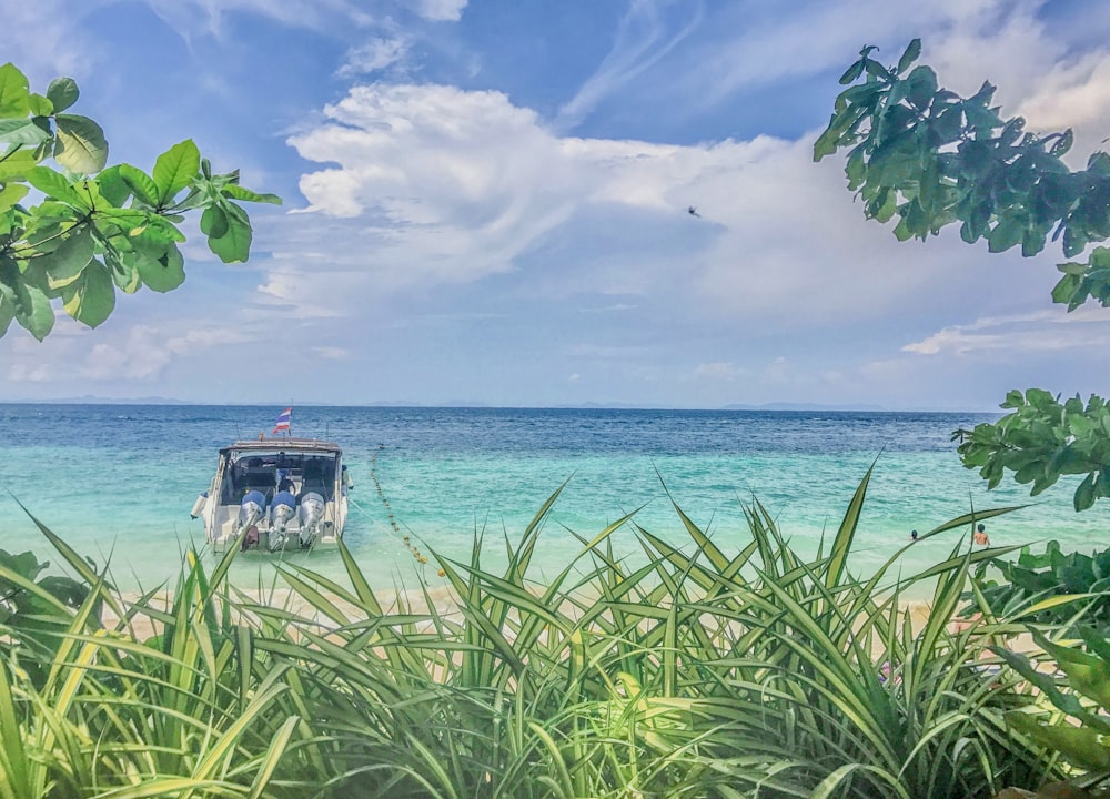 a boat on the water