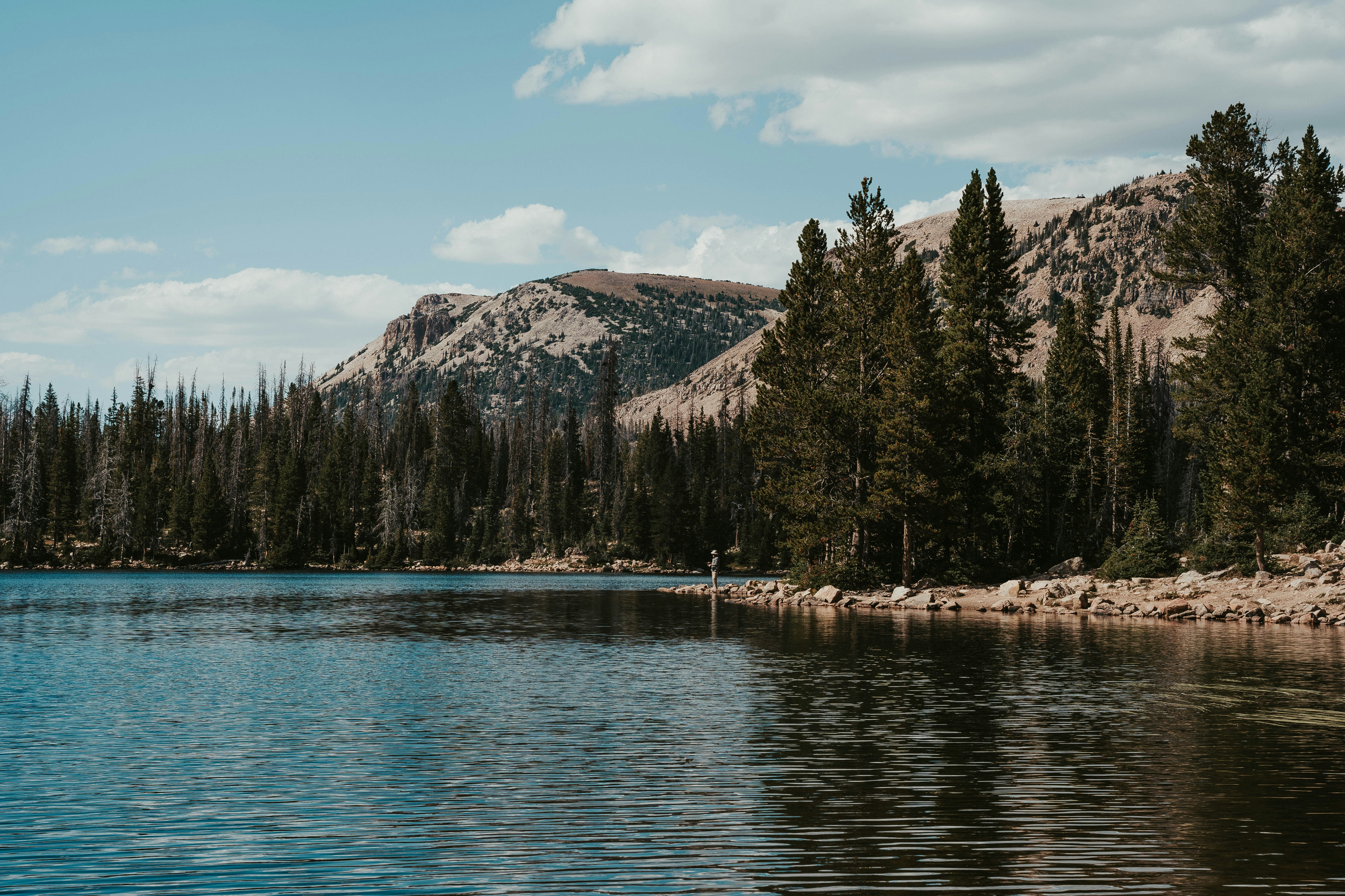 Un lago con árboles y montañas al fondo foto – Imagen de Naturaleza ...