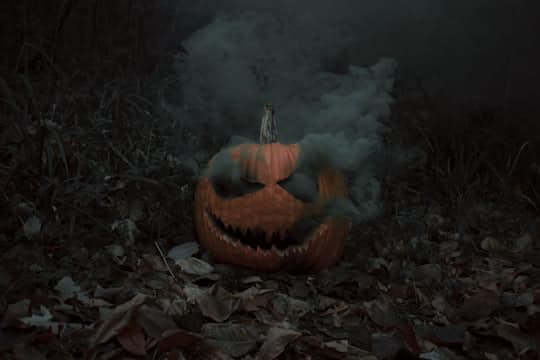 Spooky Dookie