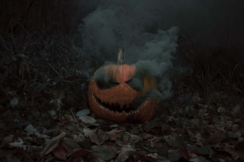 a pumpkin on the ground