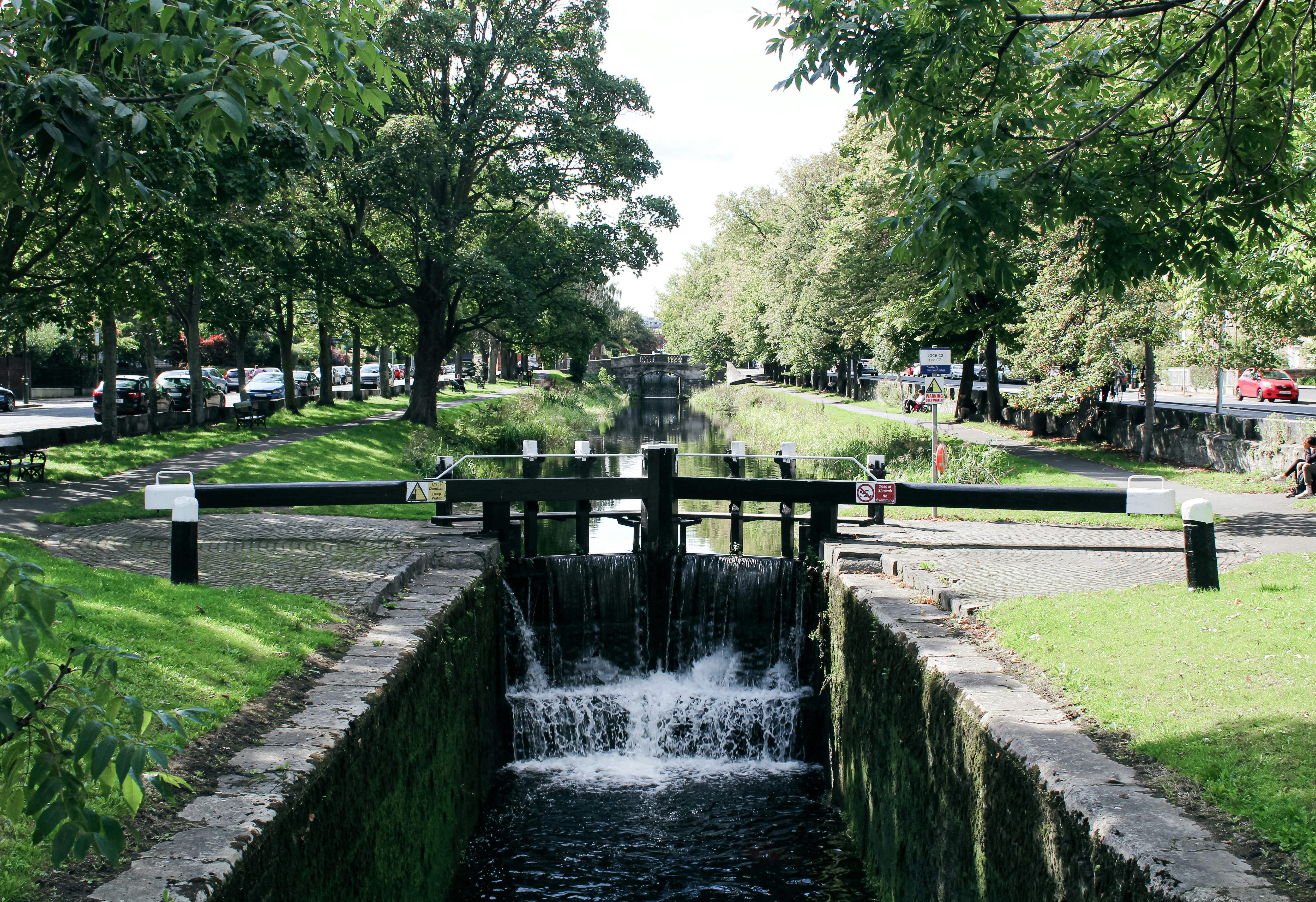 공원의 작은 연못