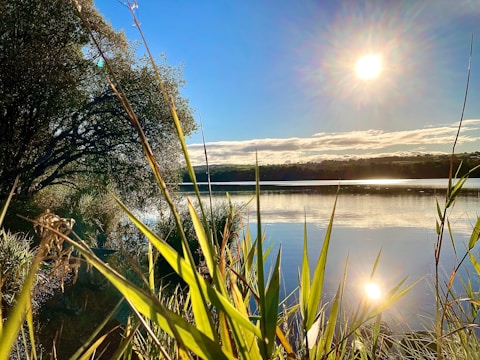 Clean, restored lake surface reflecting sunlight, free from invasive plants.