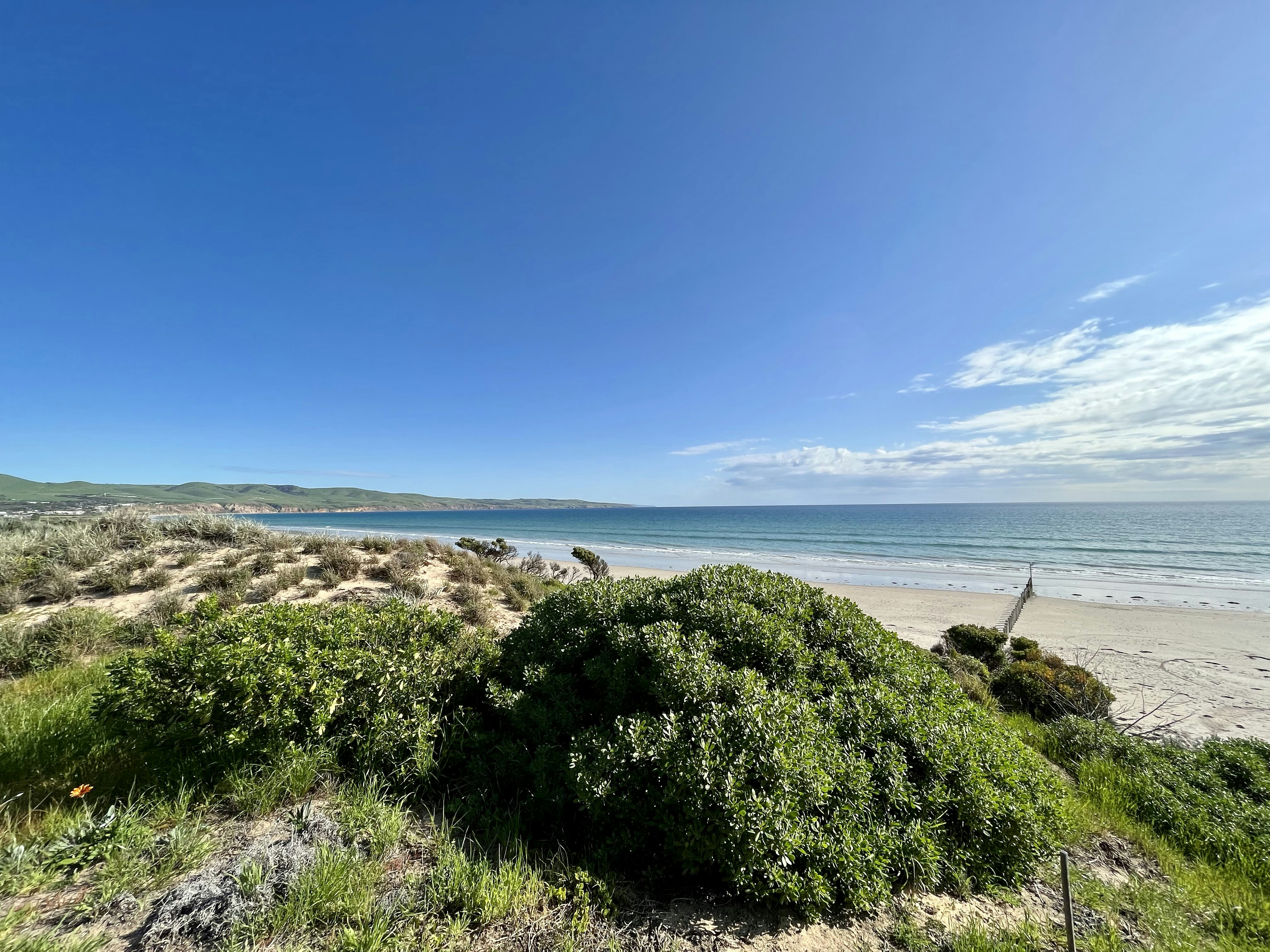 Photo by pierrehenry