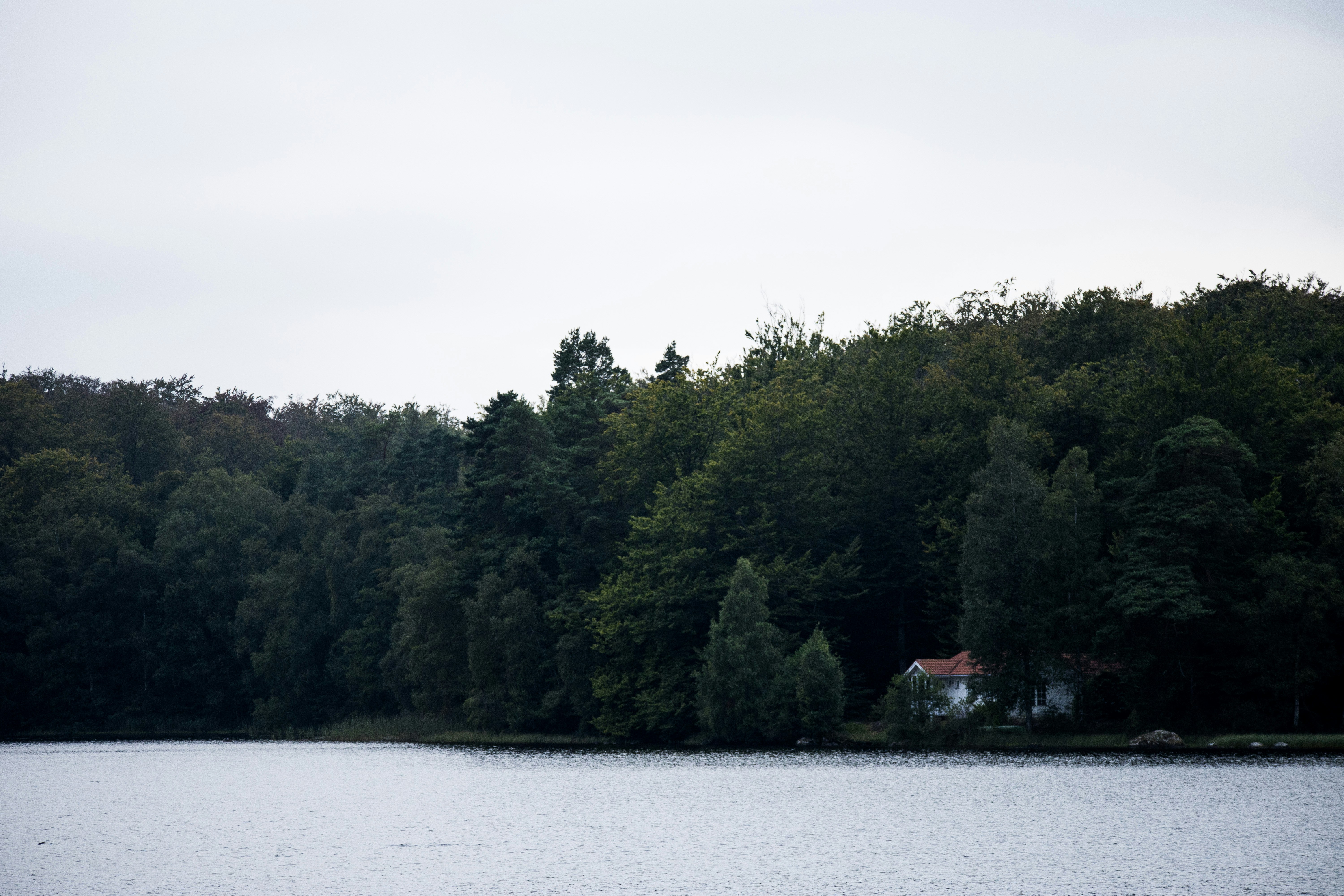 Photo by amandine_bataille_photo