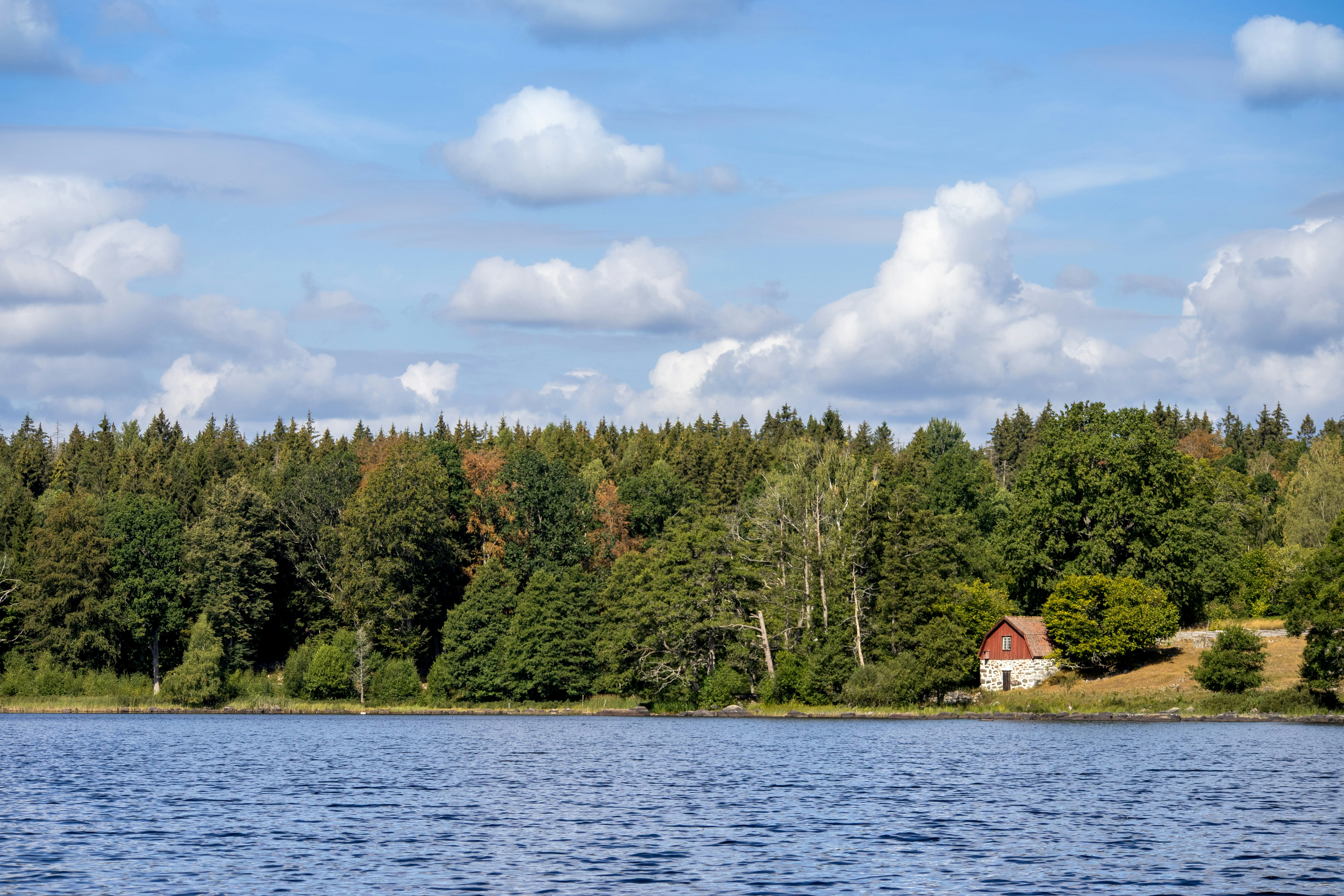 Photo by amandine_bataille_photo