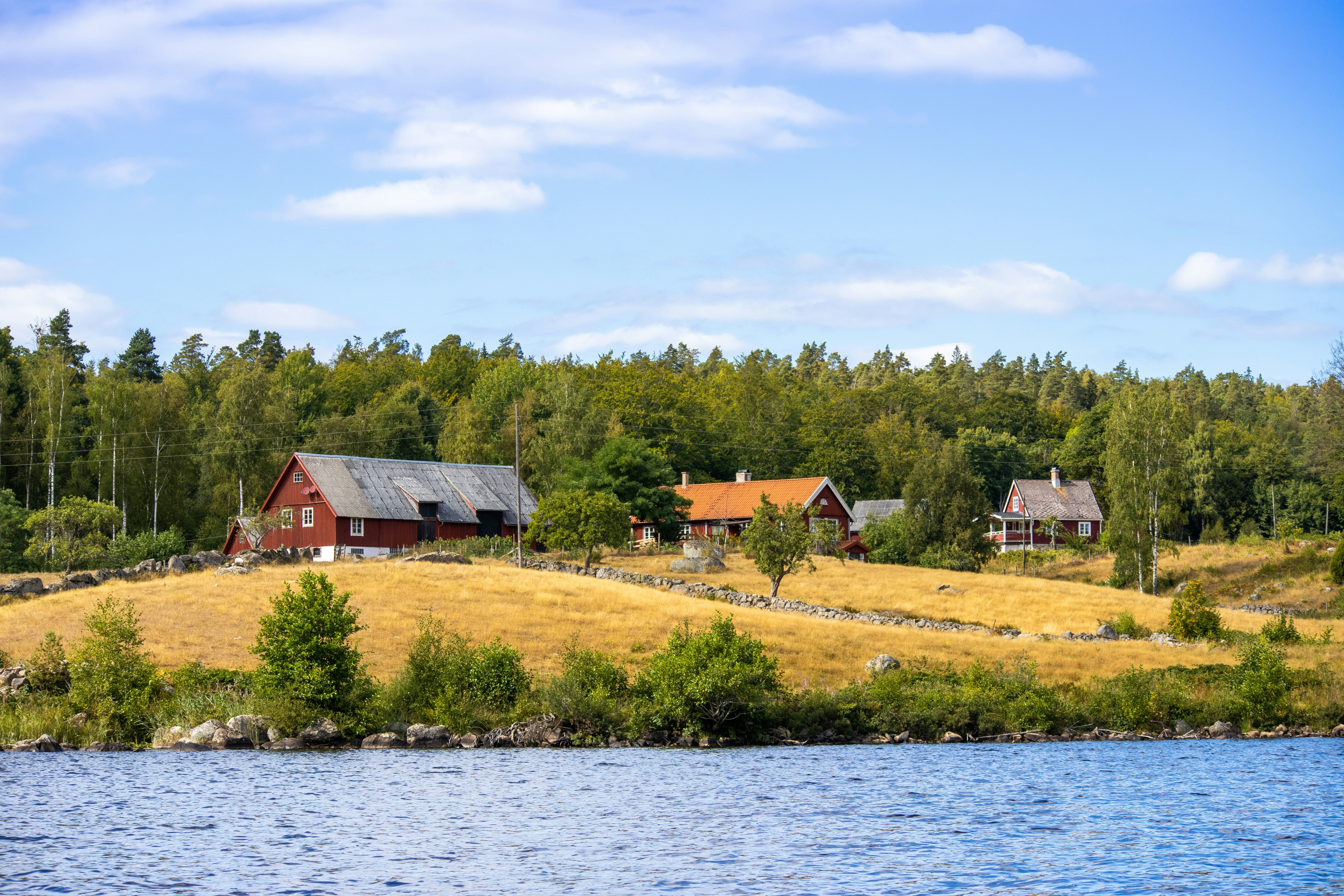 Photo by amandine_bataille_photo