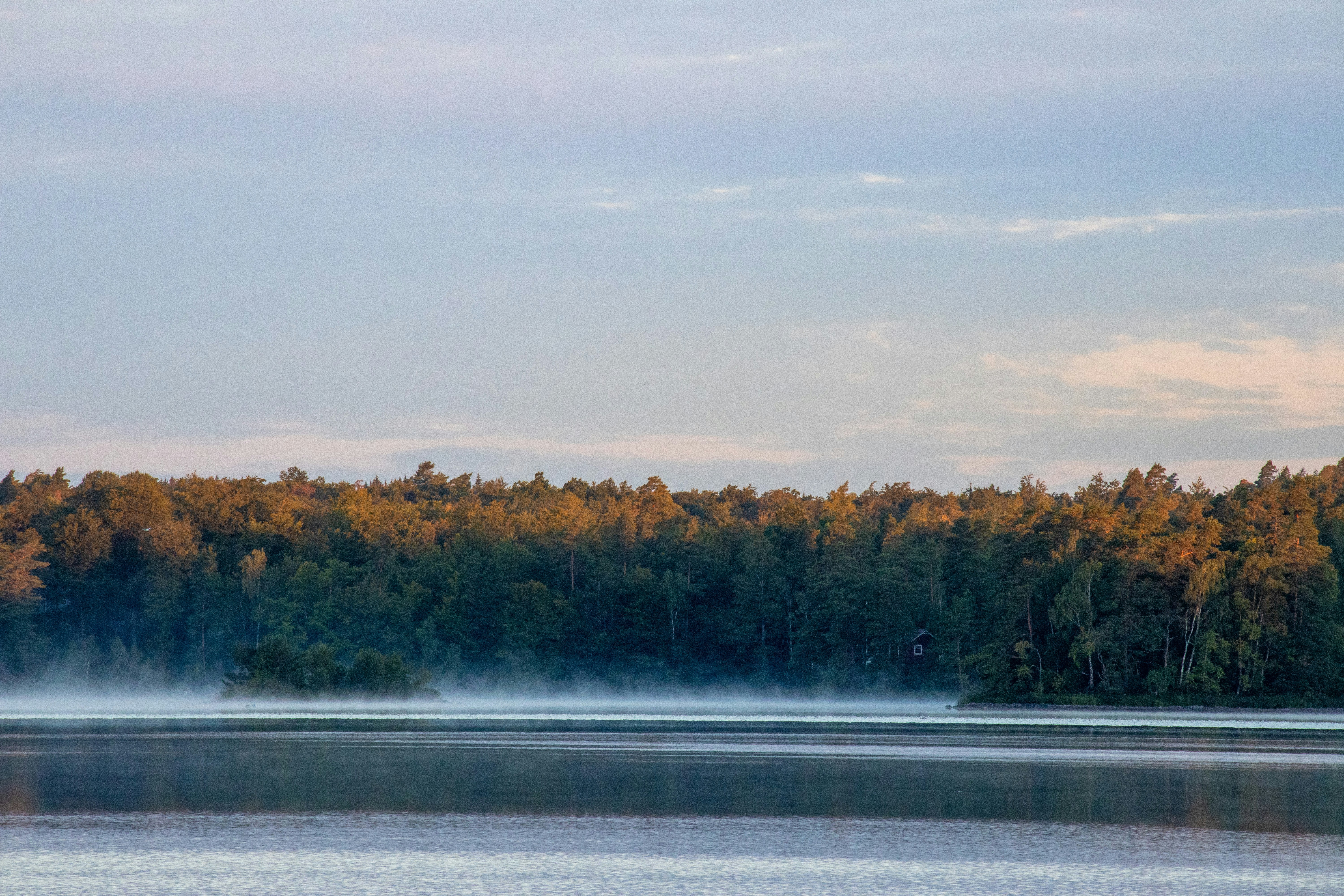 Photo by amandine_bataille_photo