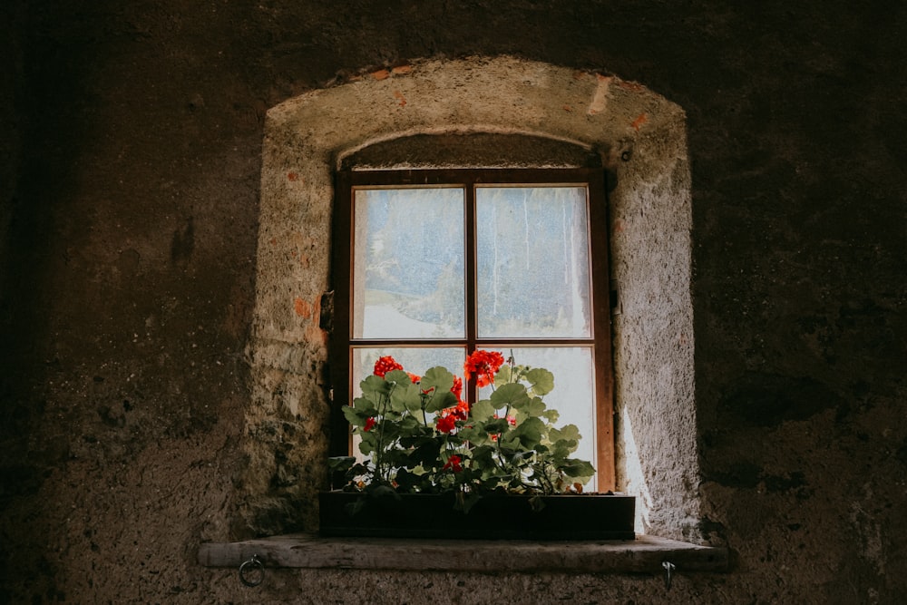 una ventana con flores en ella