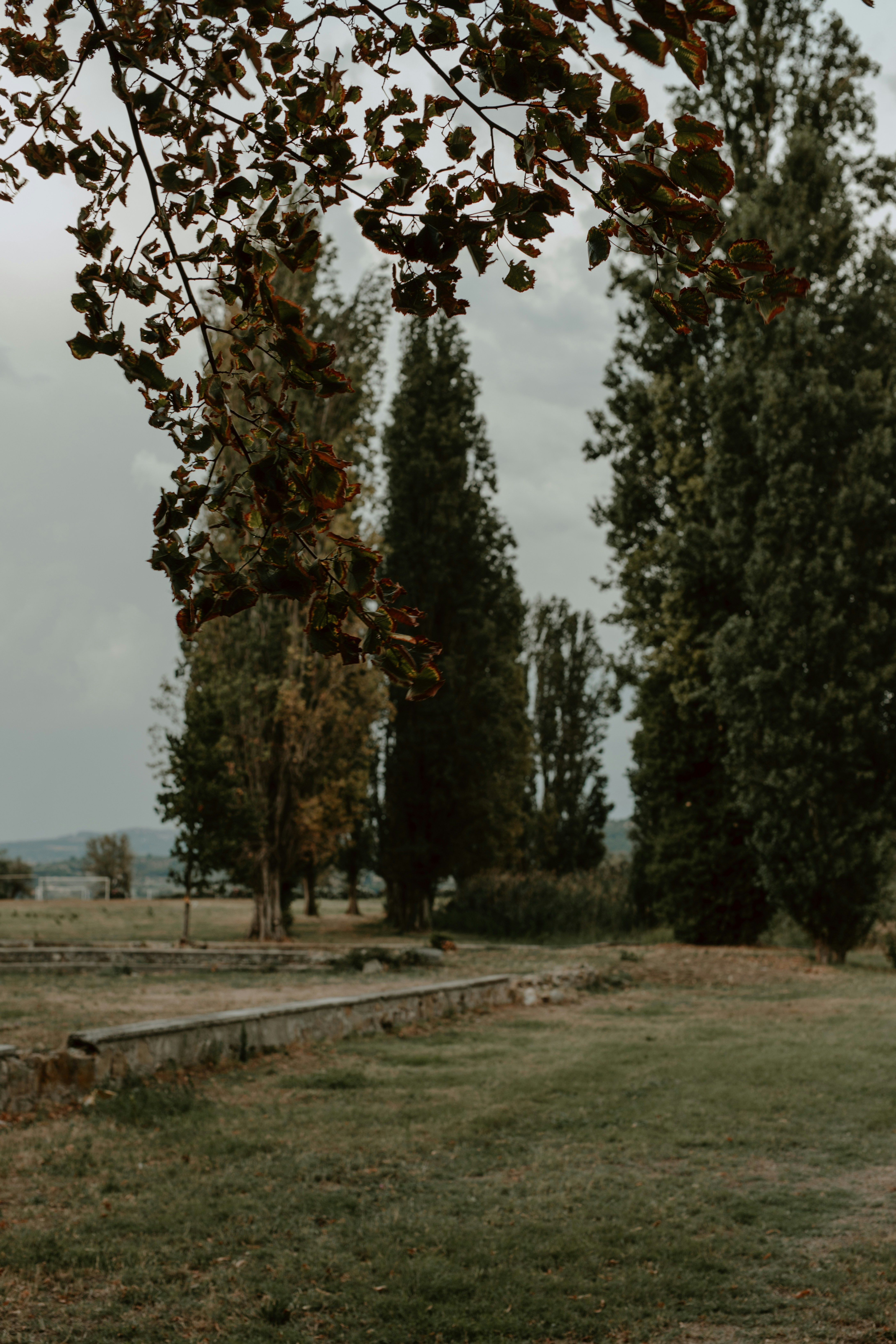 autumn wedding landscape, wallpaper, Fall Wedding Timeline and Budget: A Comprehensive Planning Guide 1