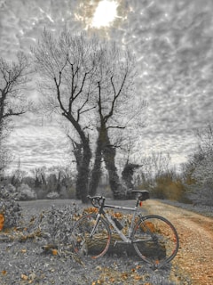 Wide shot of a gravel bike leaning against a tree with a backdrop of moody gray skies and earthy tones