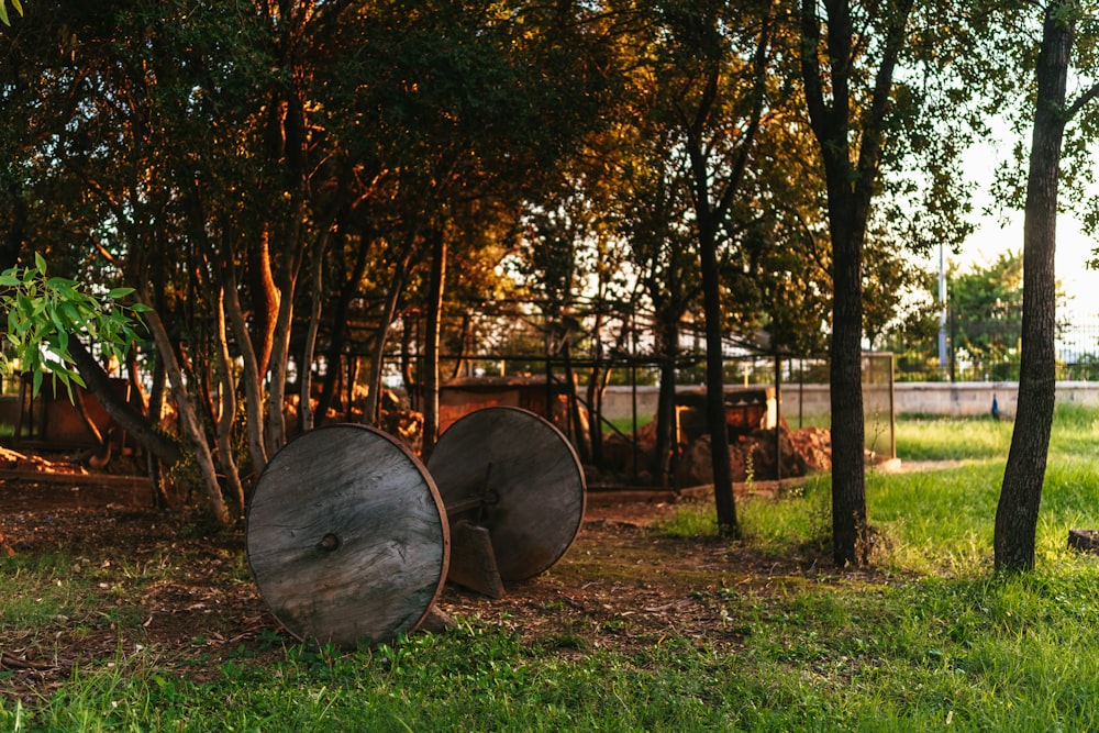 a group of trees with a metal barrel in a grassy area
