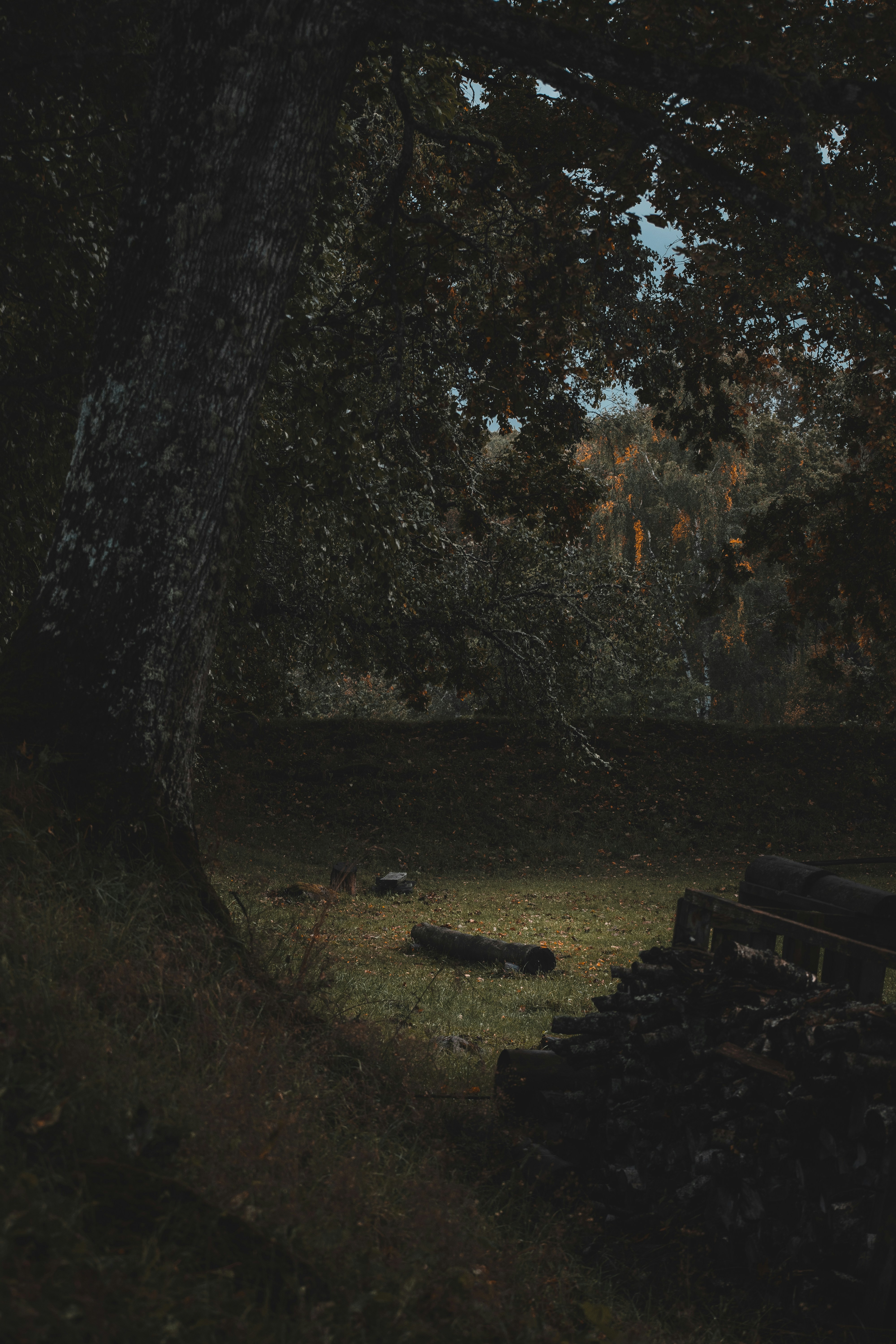 Photo by christina_kozak