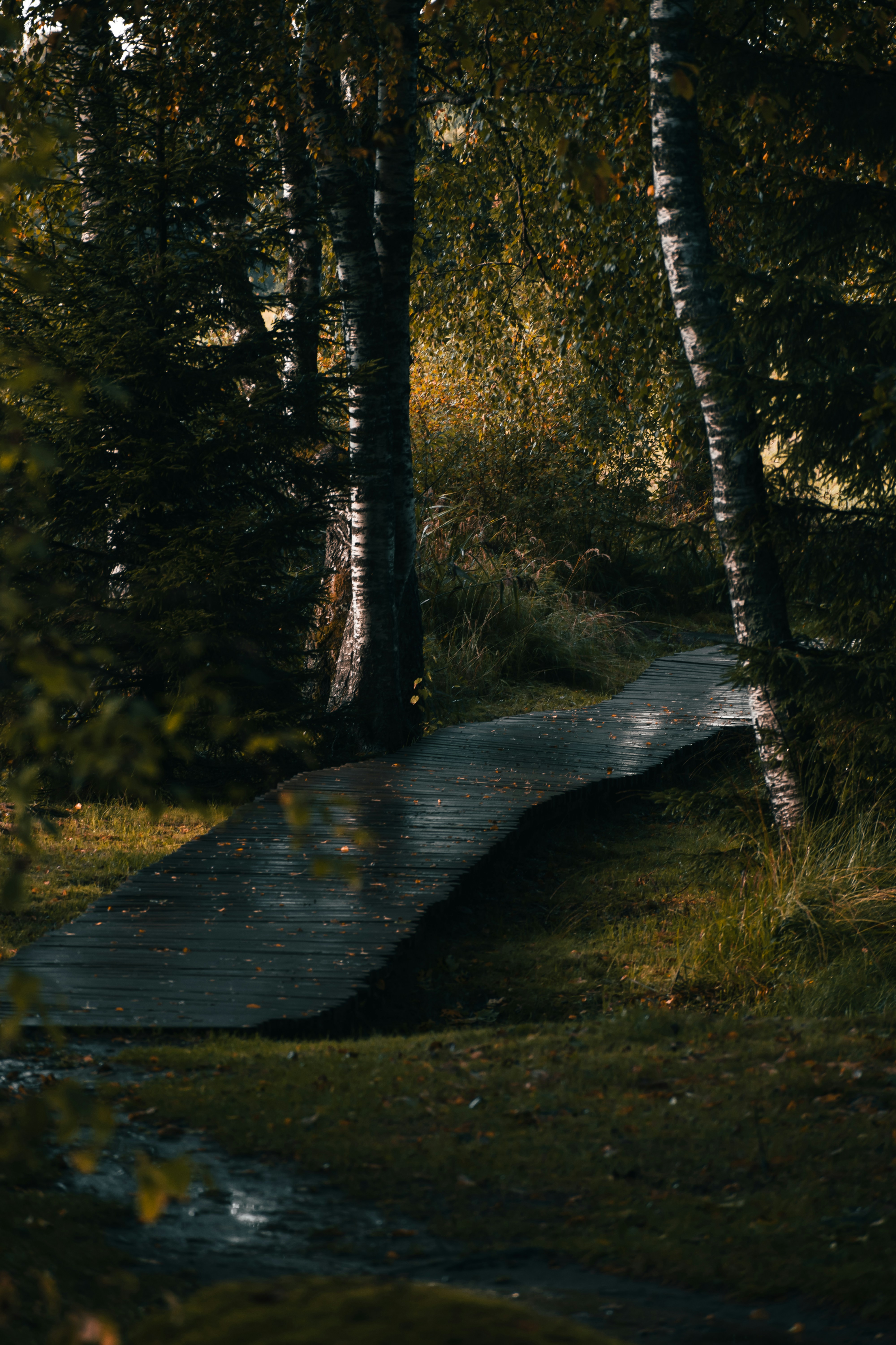 Photo by christina_kozak