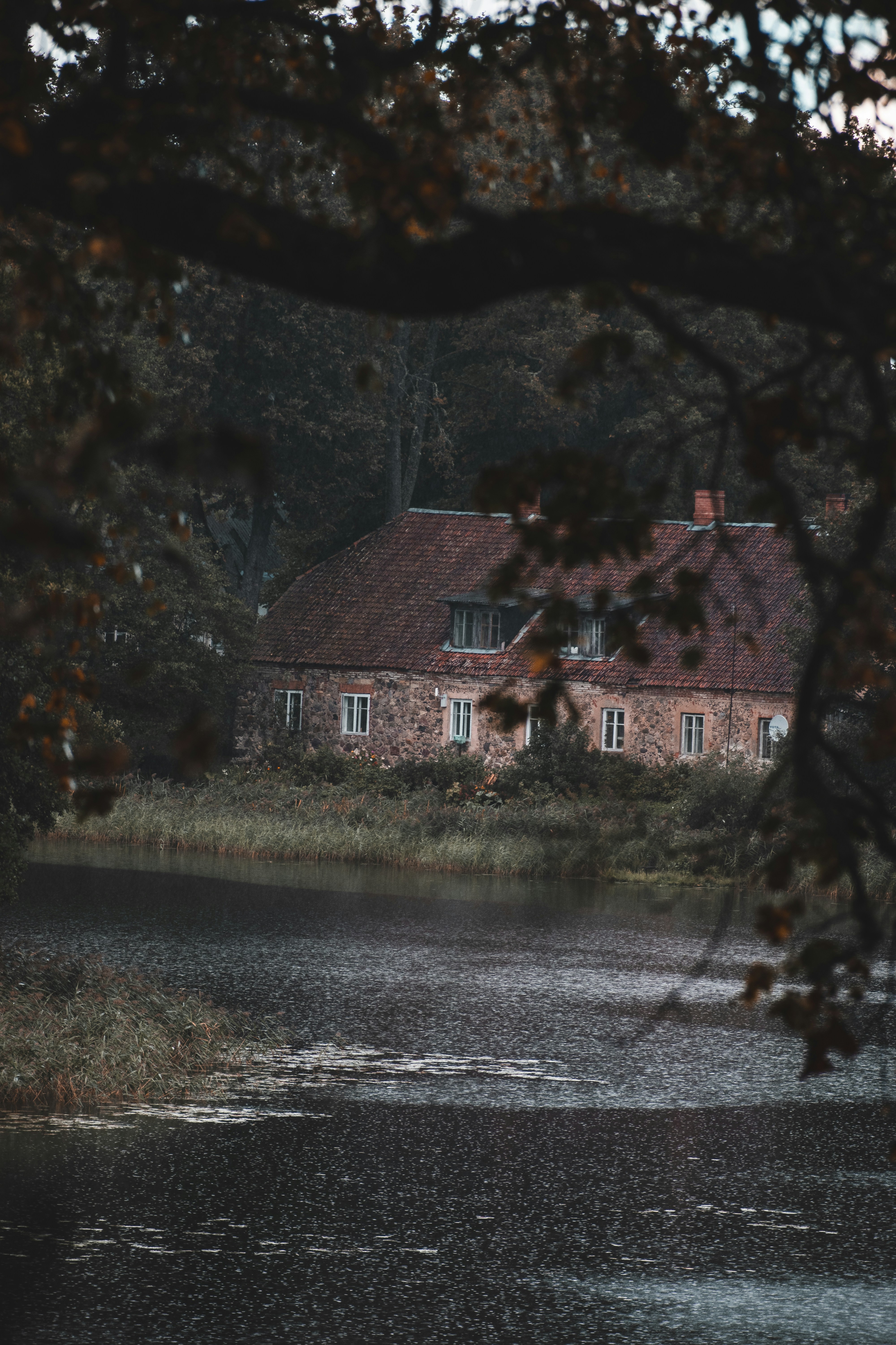 Photo by christina_kozak