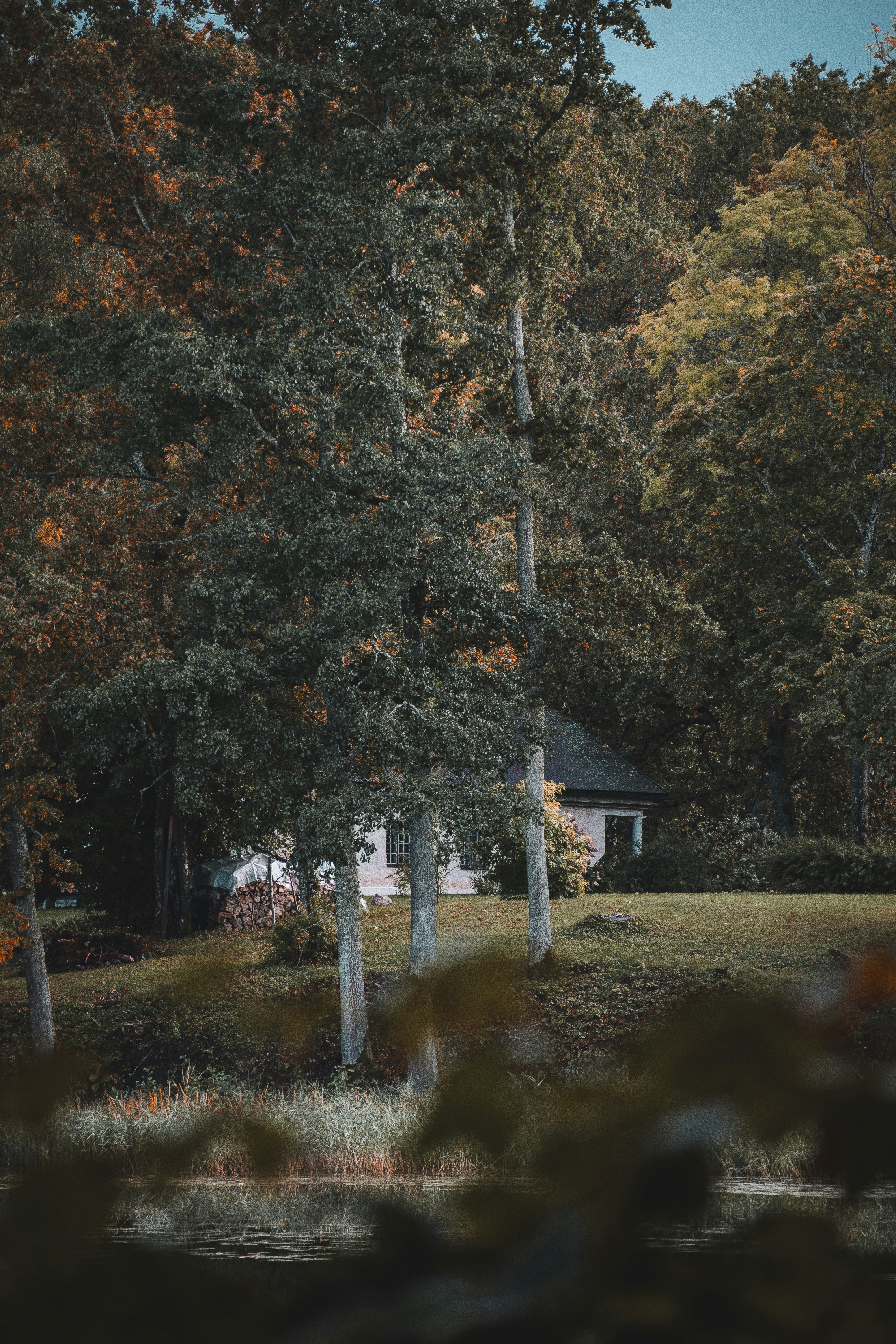 Photo by christina_kozak