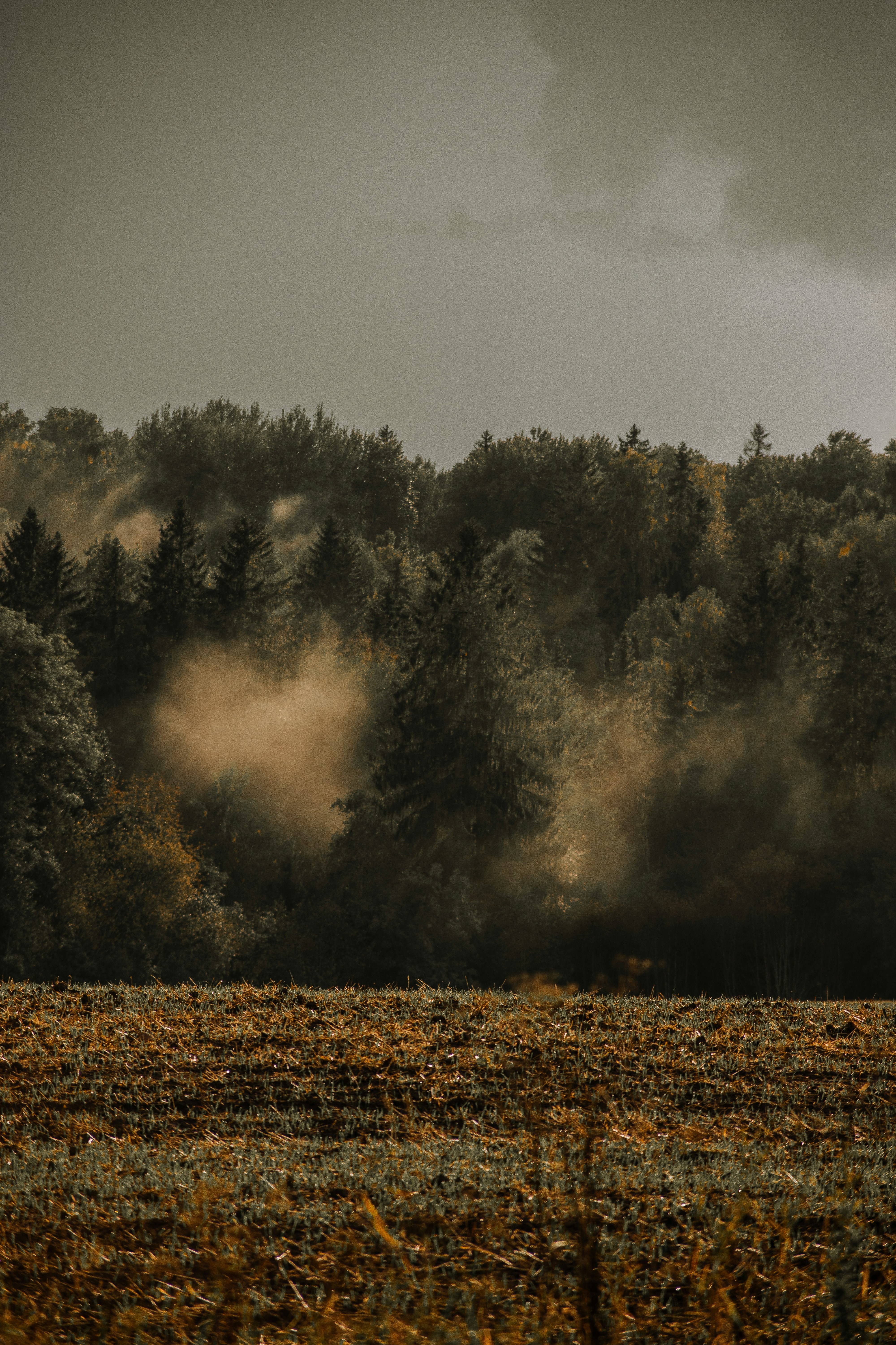 Photo by christina_kozak