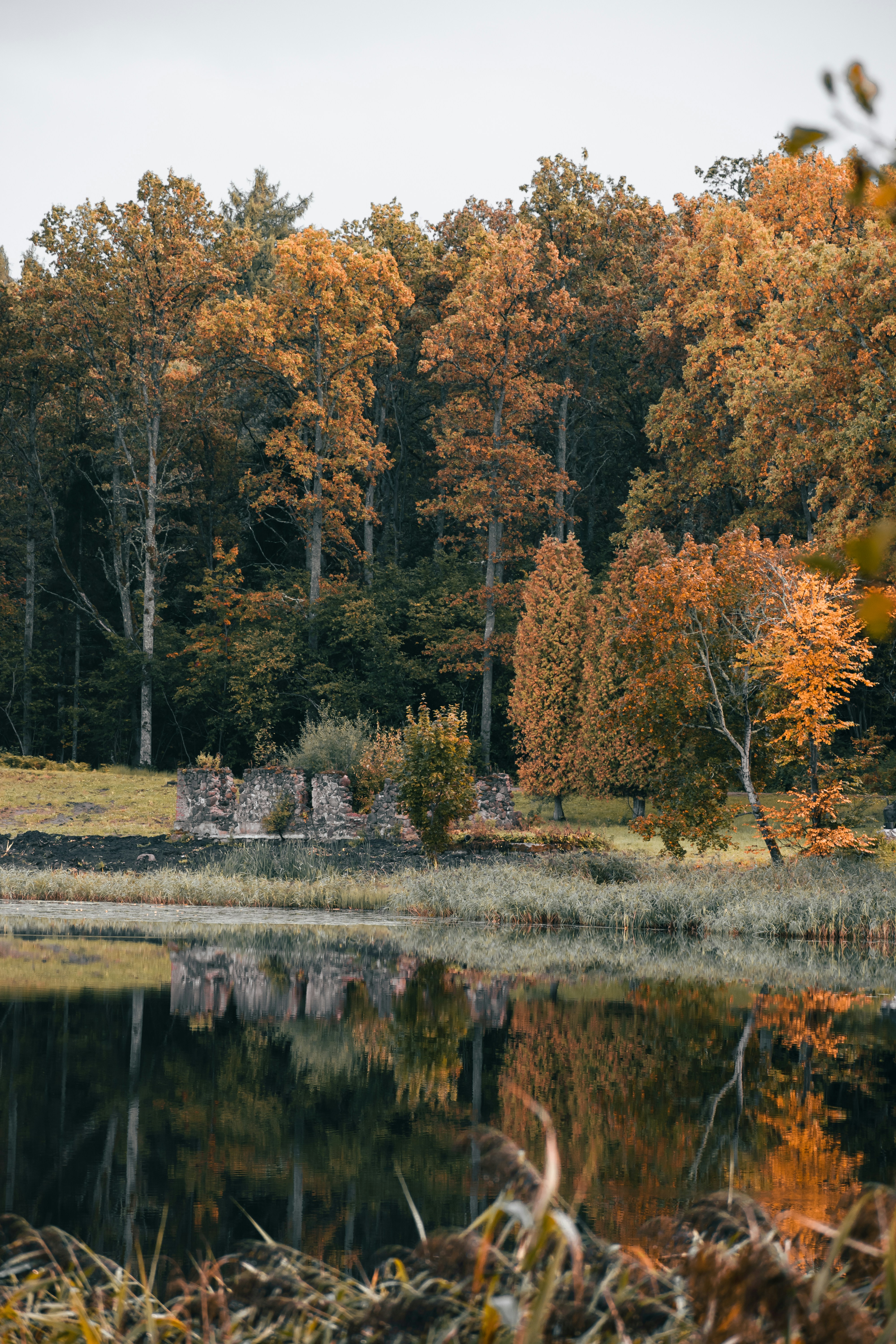 Photo by christina_kozak