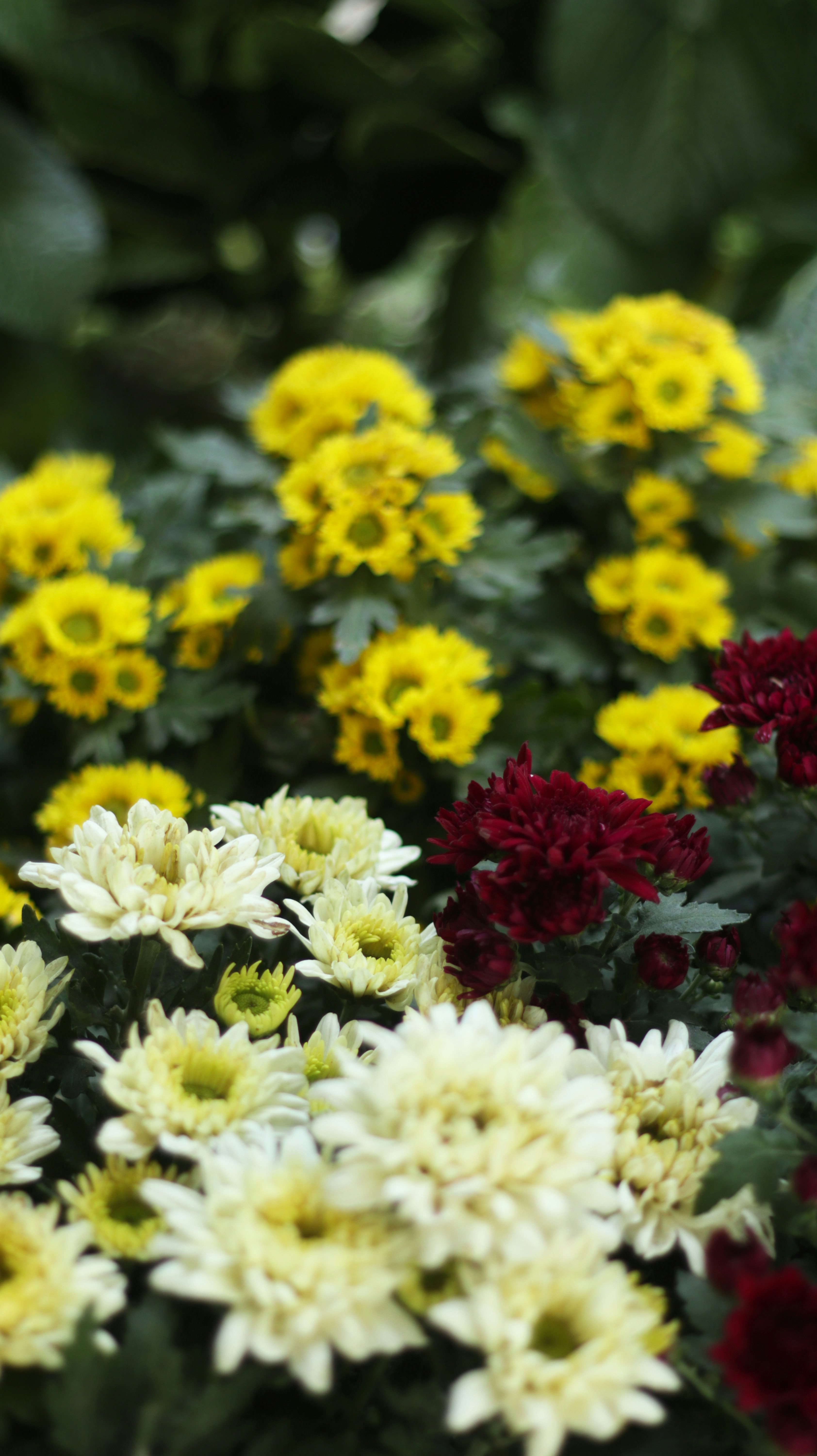 Photo by nanangirhamka