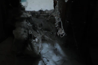 Before and after shots of a basement corner cleared of dust and cobwebs.