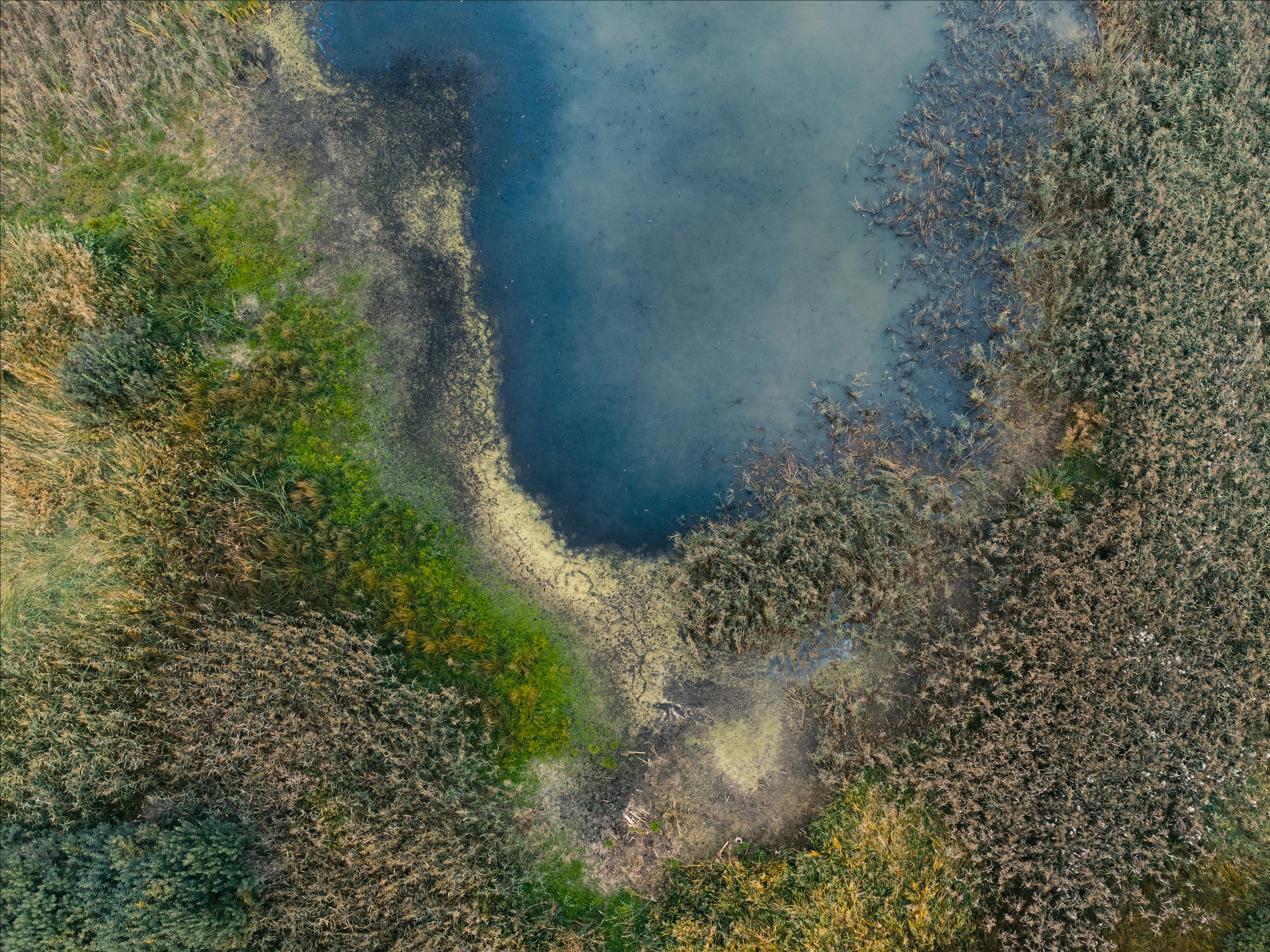 Photo by evil_bumblebee